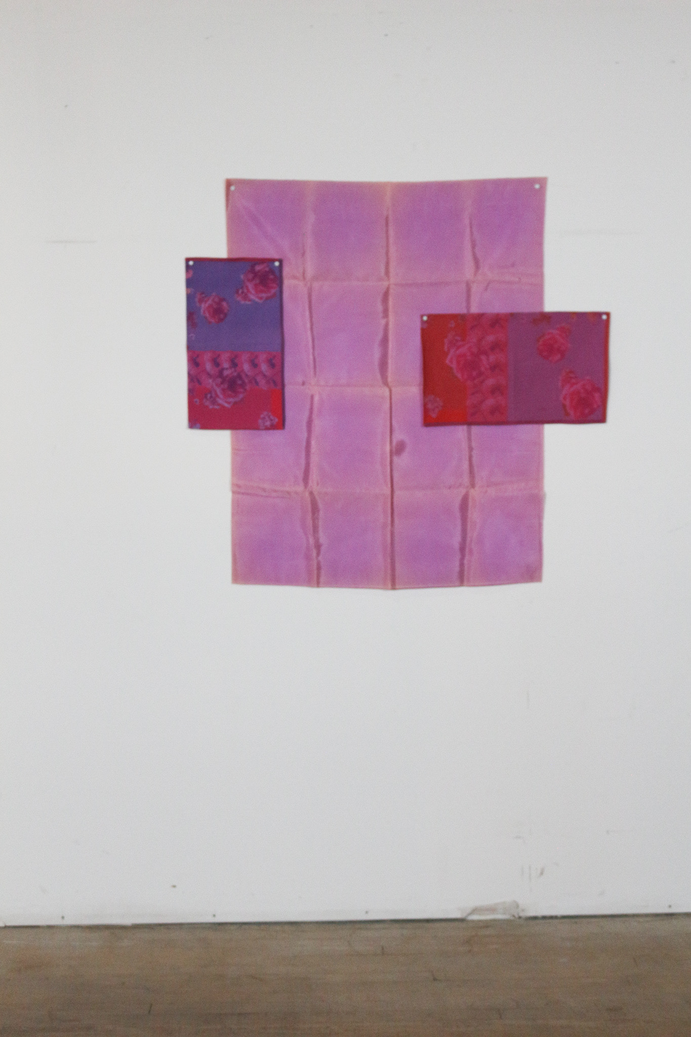 Textile Assemblies 3 - Catherine Richards