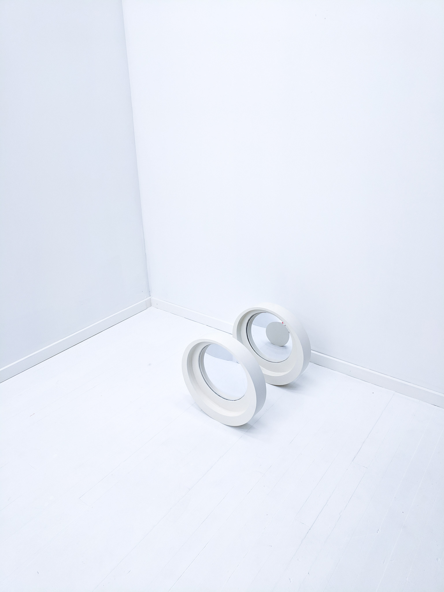 Surveillance Rollers_8 - Catherine Richards