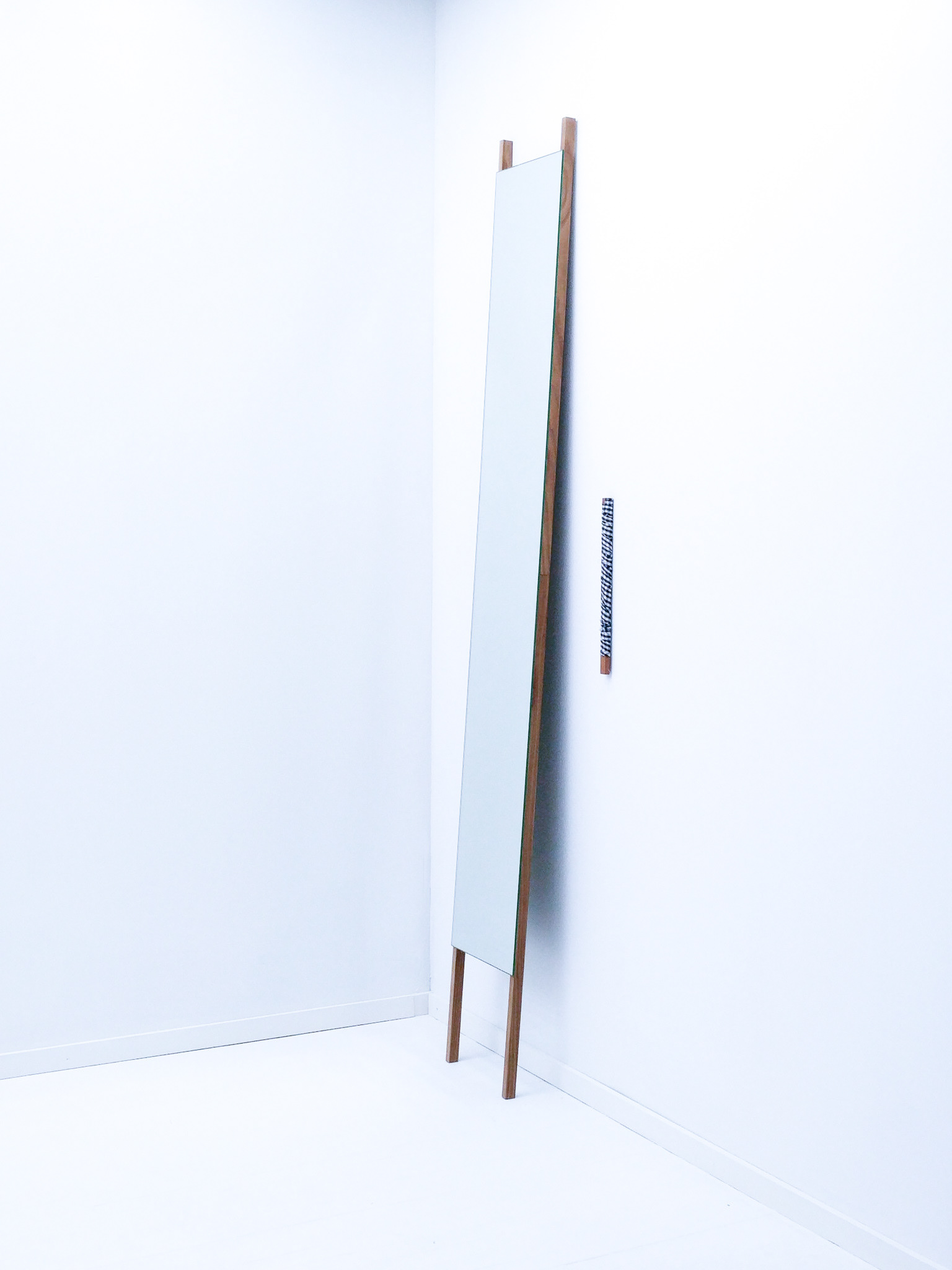 Vertical Mirror - Catherine Elizabeth Richards