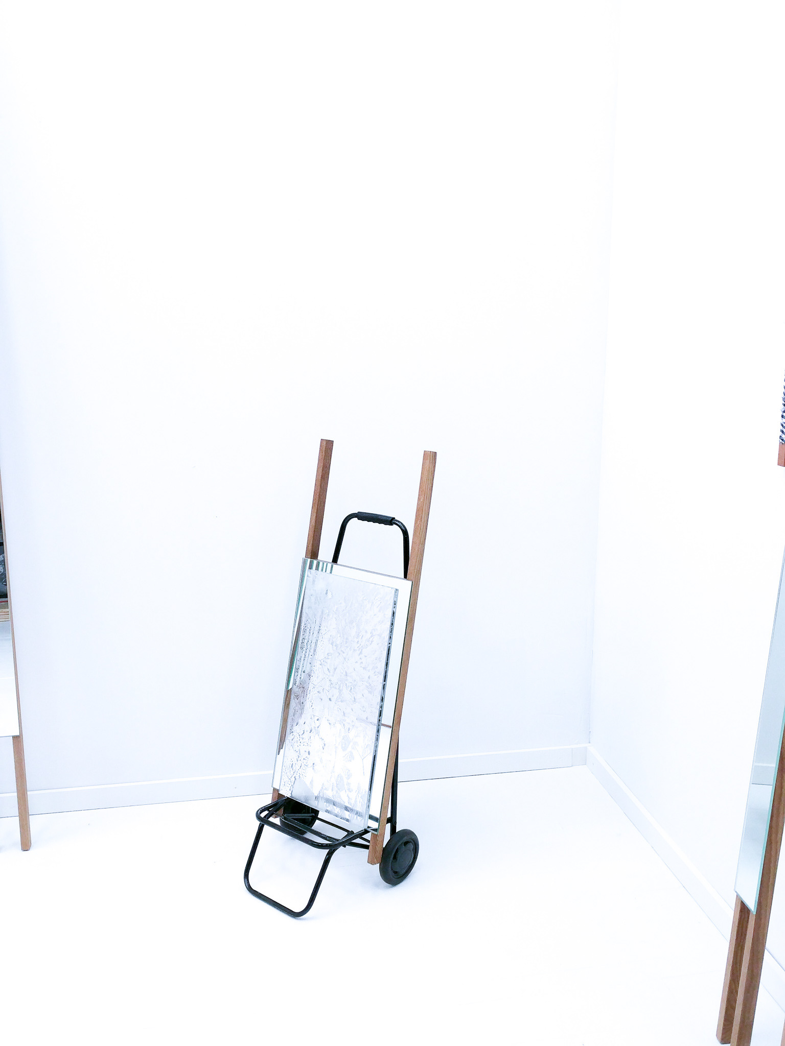 Vertical Mirror_7 - Catherine Elizabeth Richards