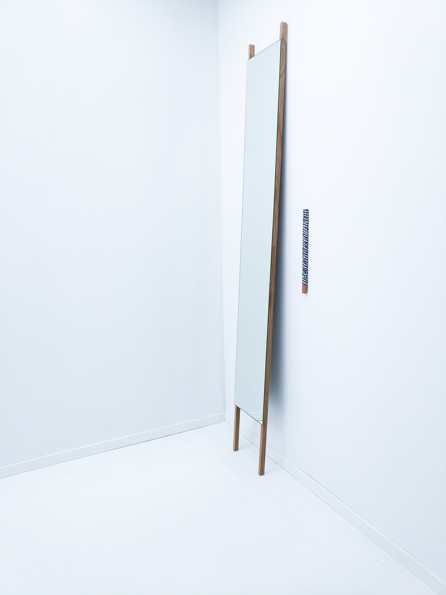 Vertical Mirror_2 - Catherine Elizabeth Richards