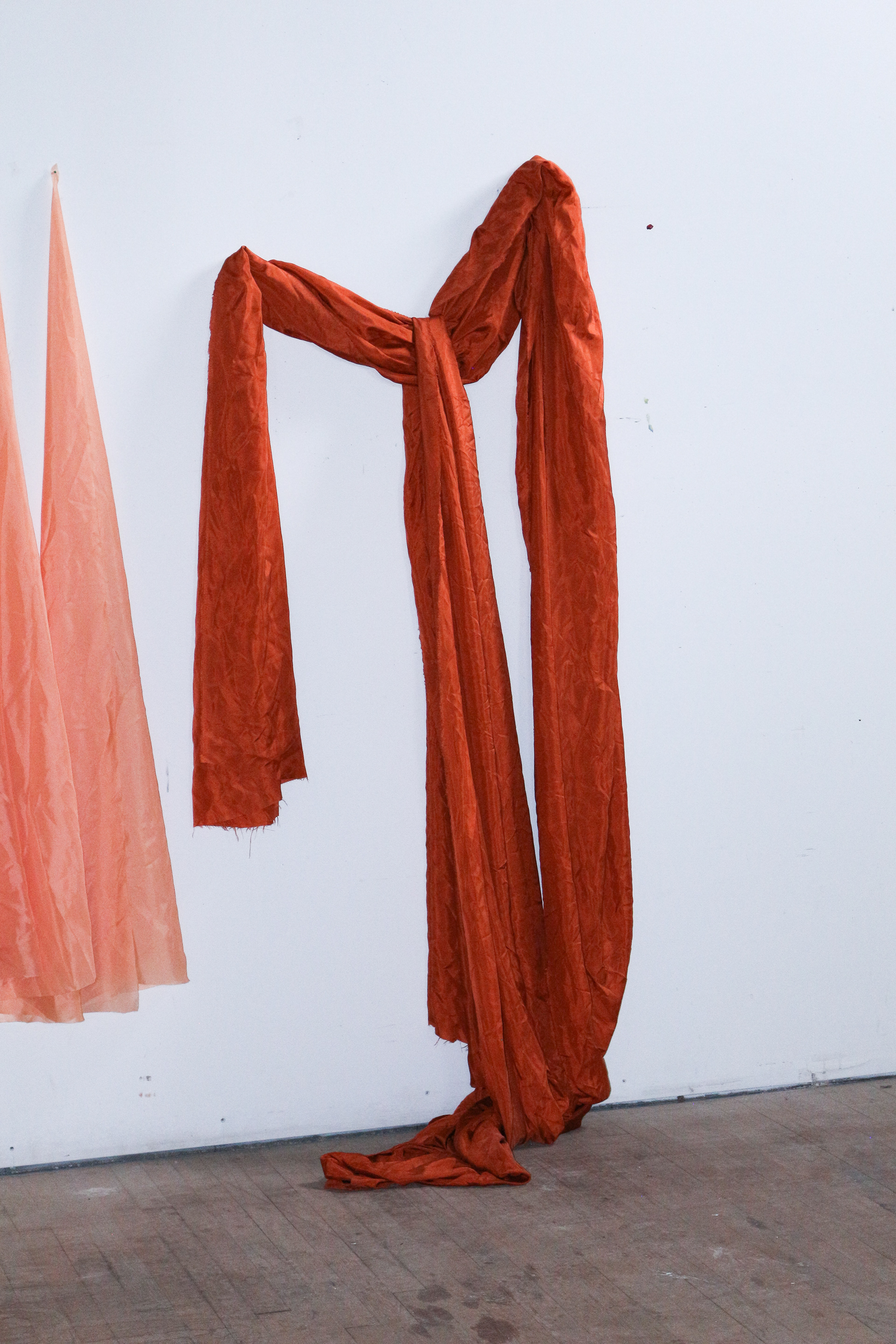 Drape 9 - Catherine Elizabeth Richards