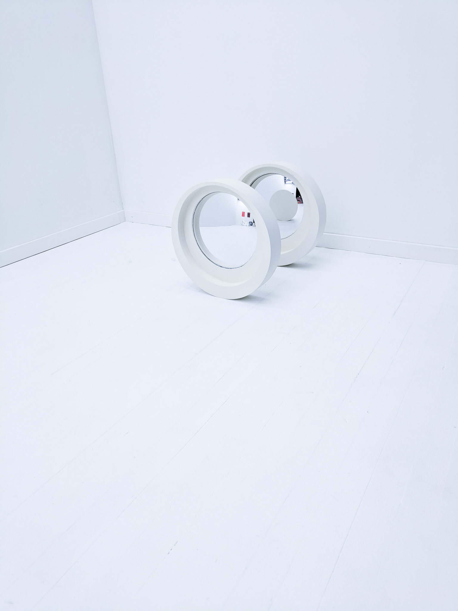 Surveillance Rollers_9 - Catherine Richards