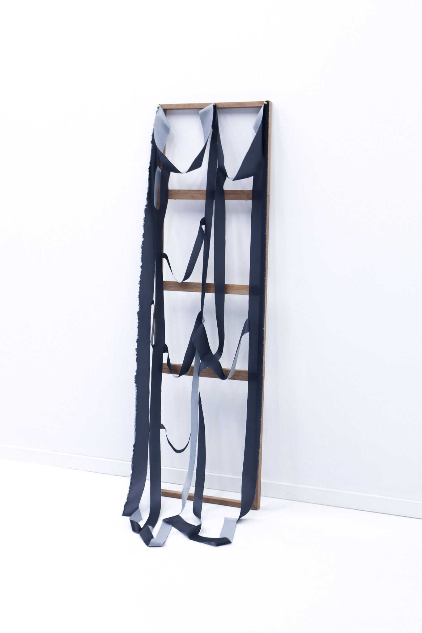 Falling Screen 2 - Catherine Richards