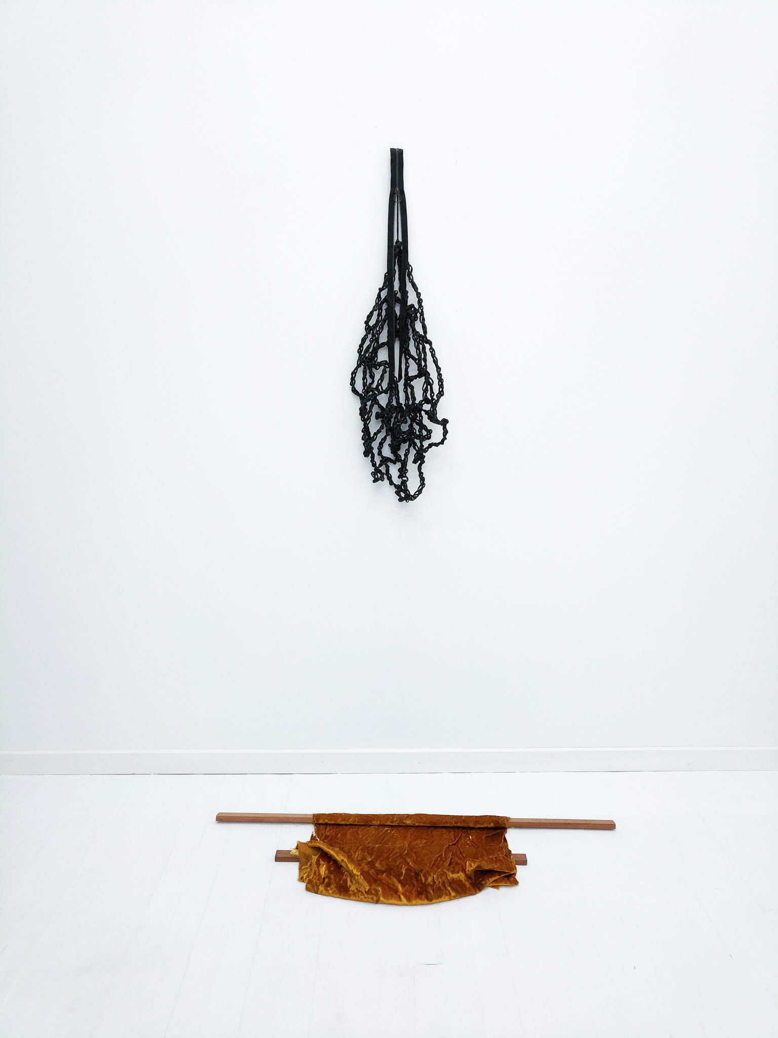 Vulnerable Assemblies - Catherine Elizabeth Richards