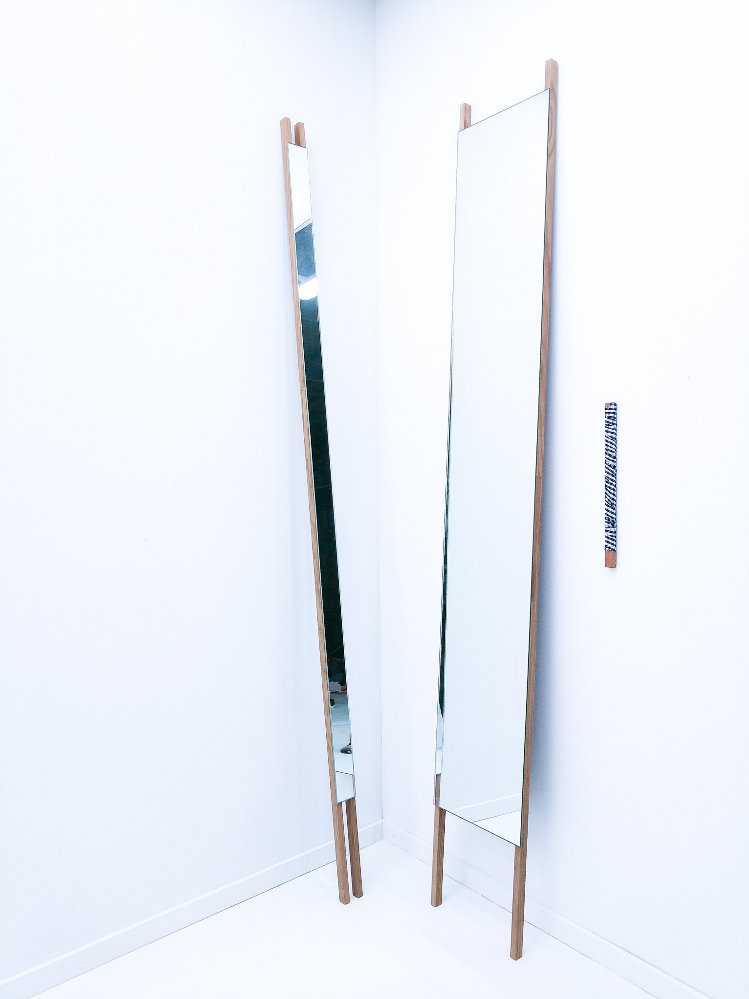 Vertical Mirror_3 - Catherine Elizabeth Richards