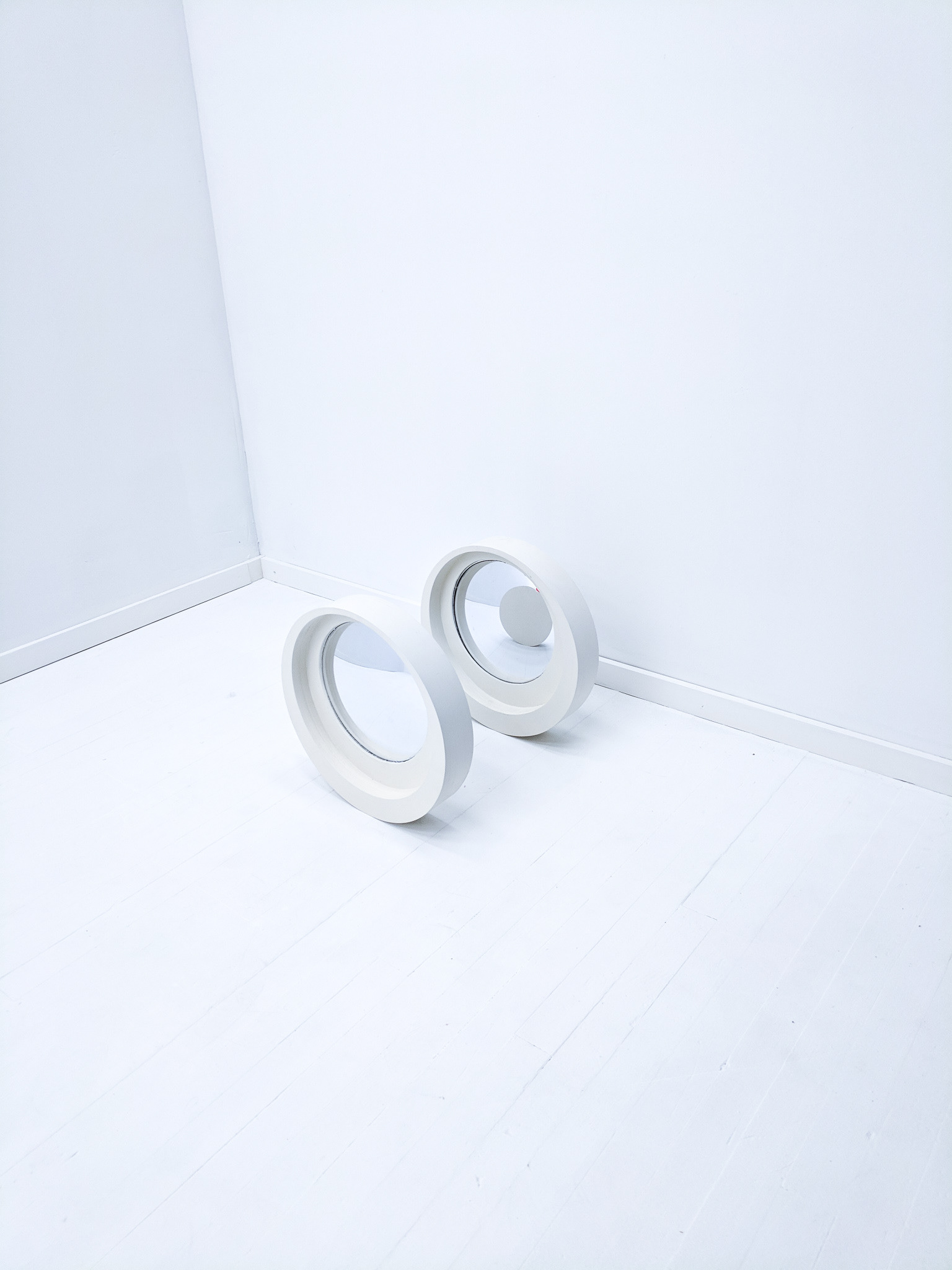 Surveillance Rollers_10 - Catherine Richards