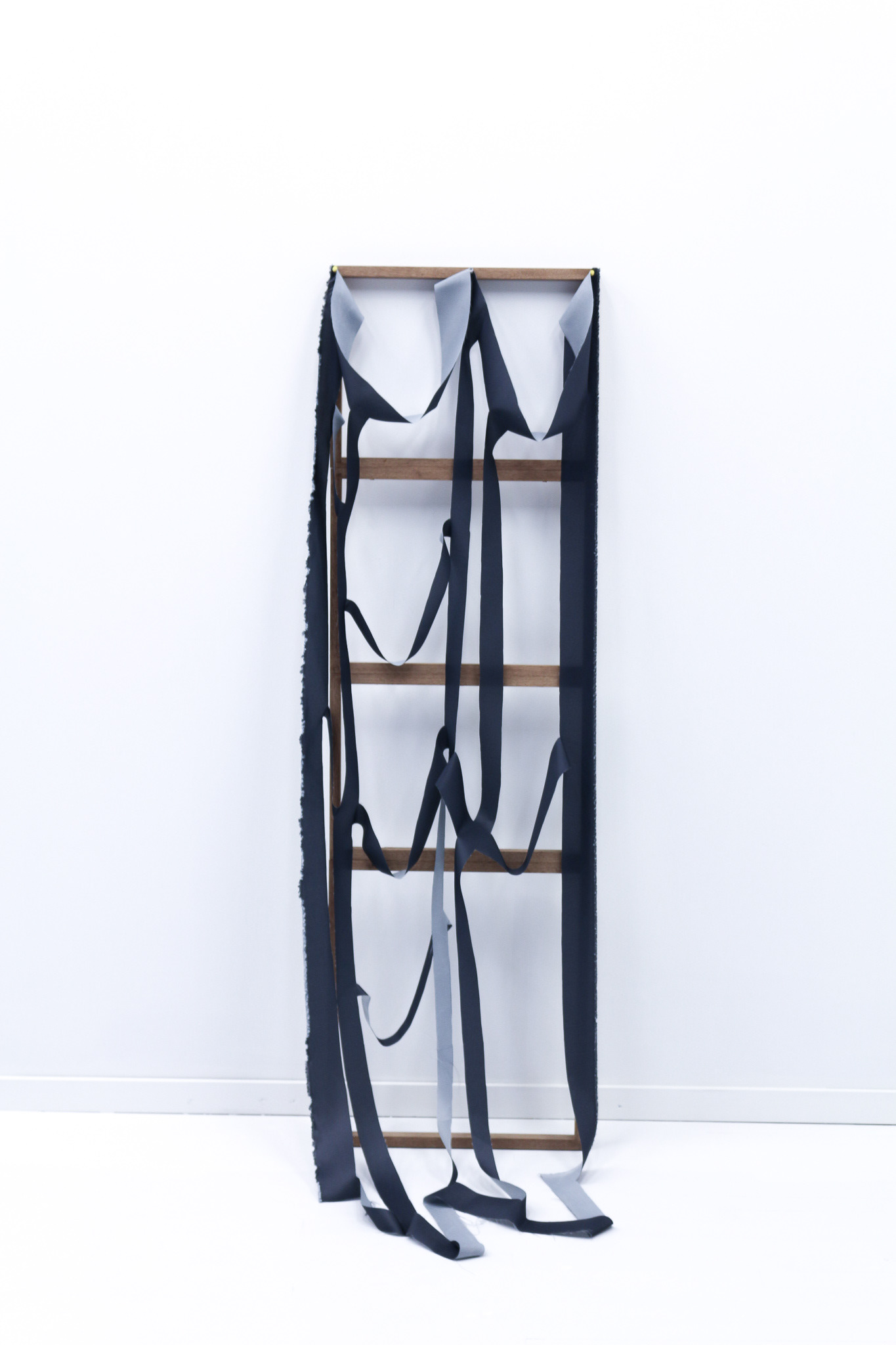 Falling Screen - Catherine Elizabeth Richards