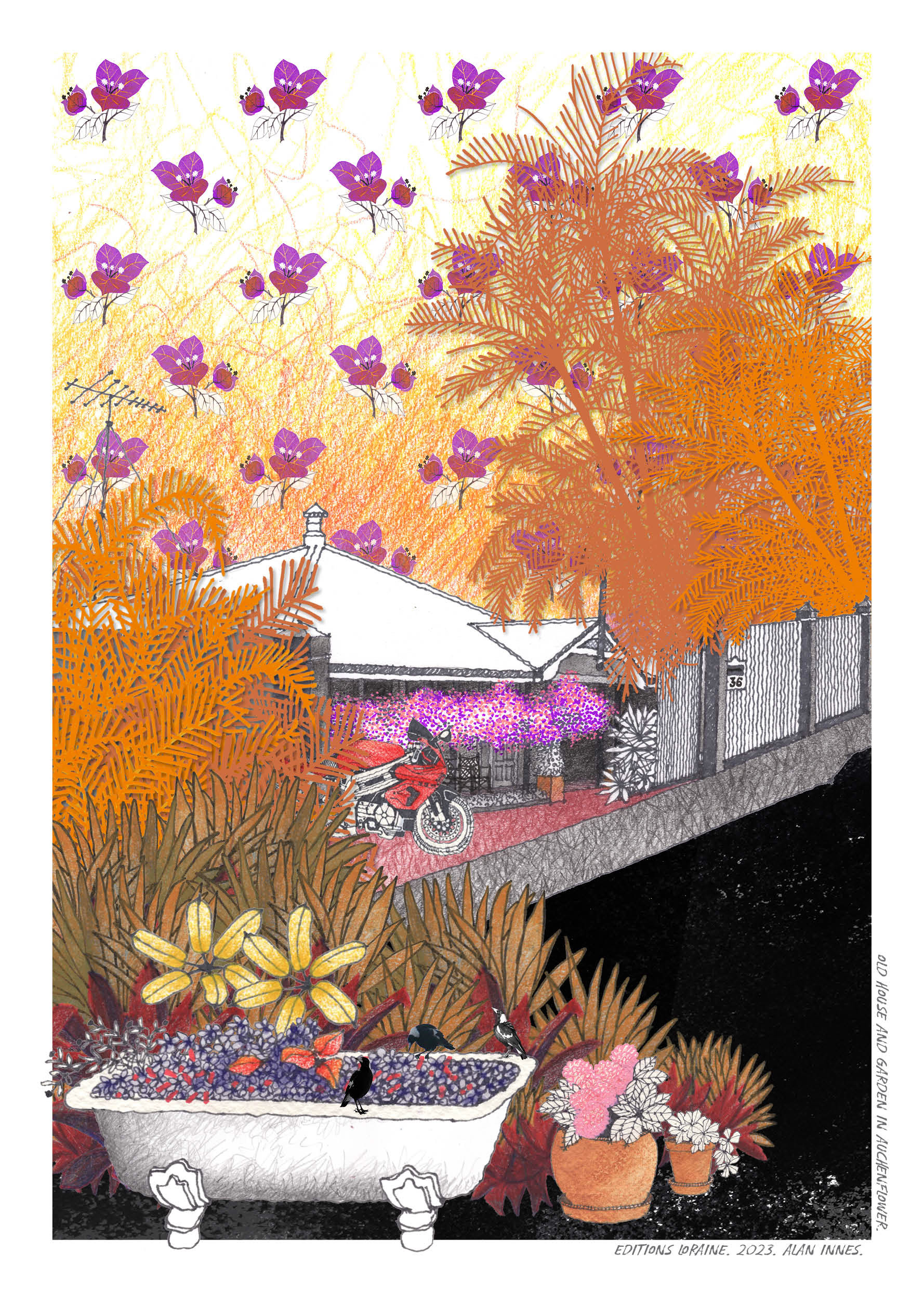 HOUSE & GARDEN. AUCHENFLOWER.