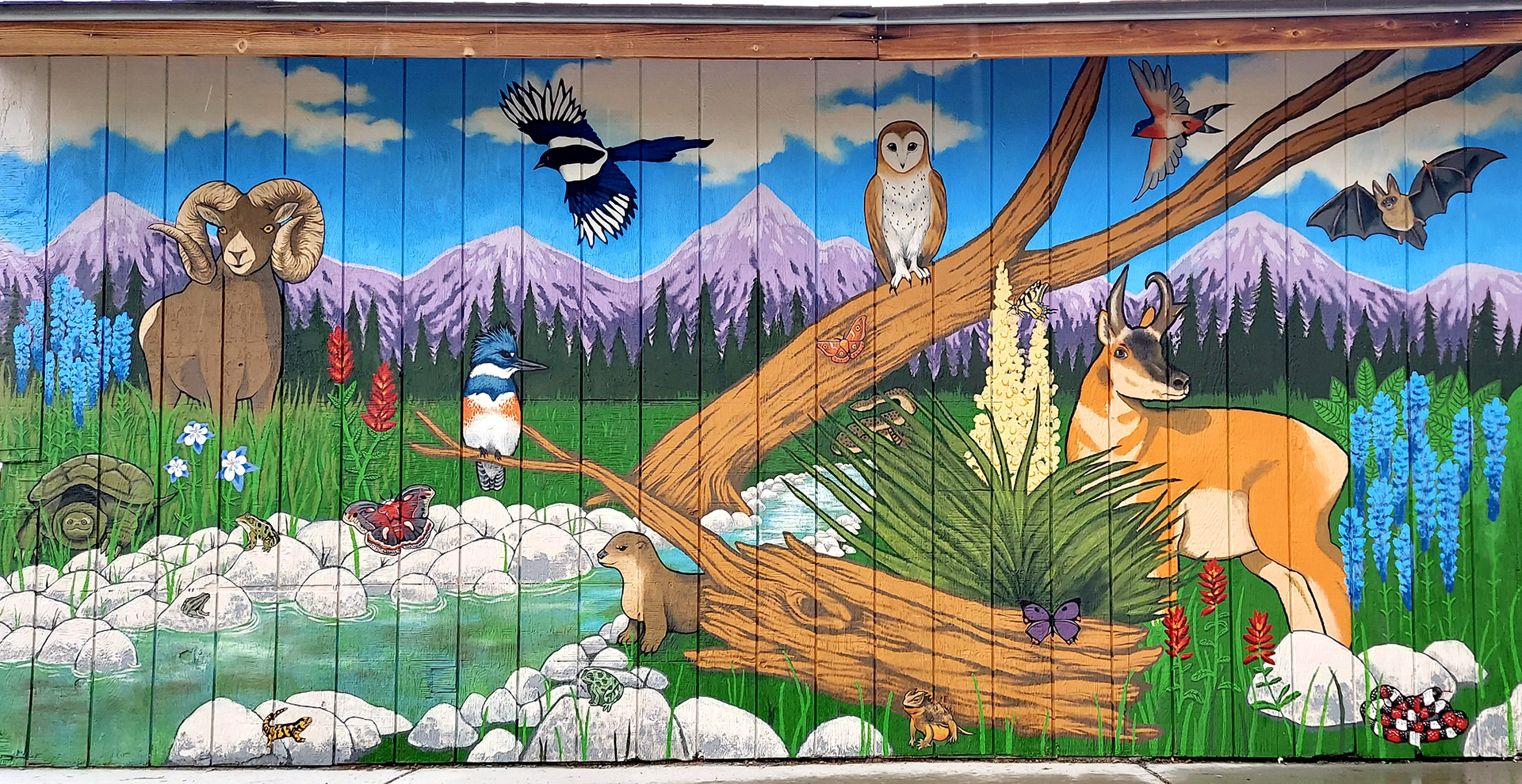 I Spy Colorado Wildlife, Broomfield Community Park, Broomfield, CO, Collab with Samantha Pascavis, 2023