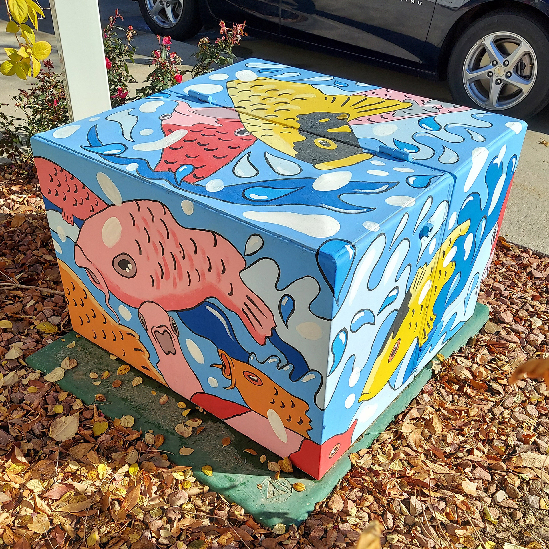 Warm Koi Cool Waters, Fort Collins CO, 2021