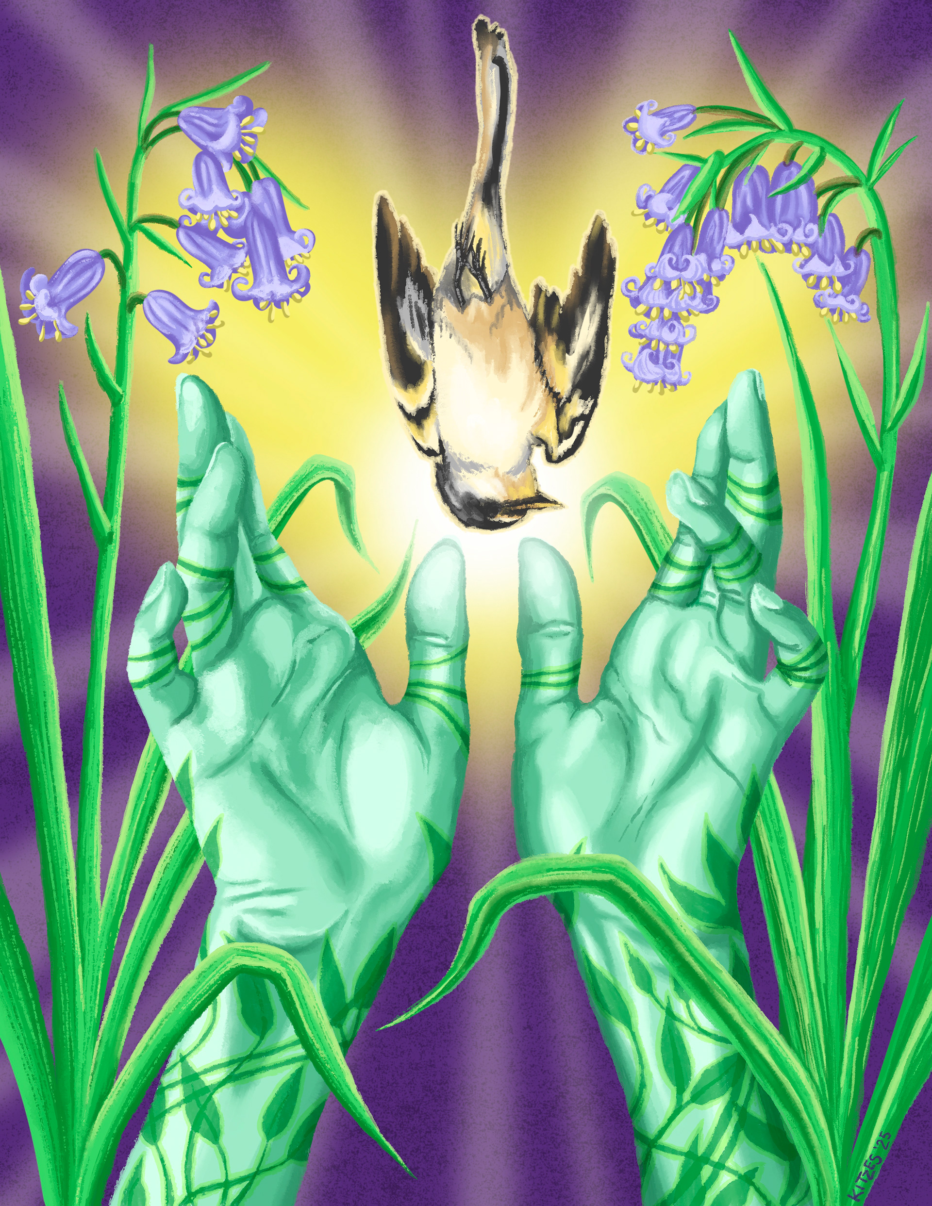 Homecoming, Julie Kitzes, 2025