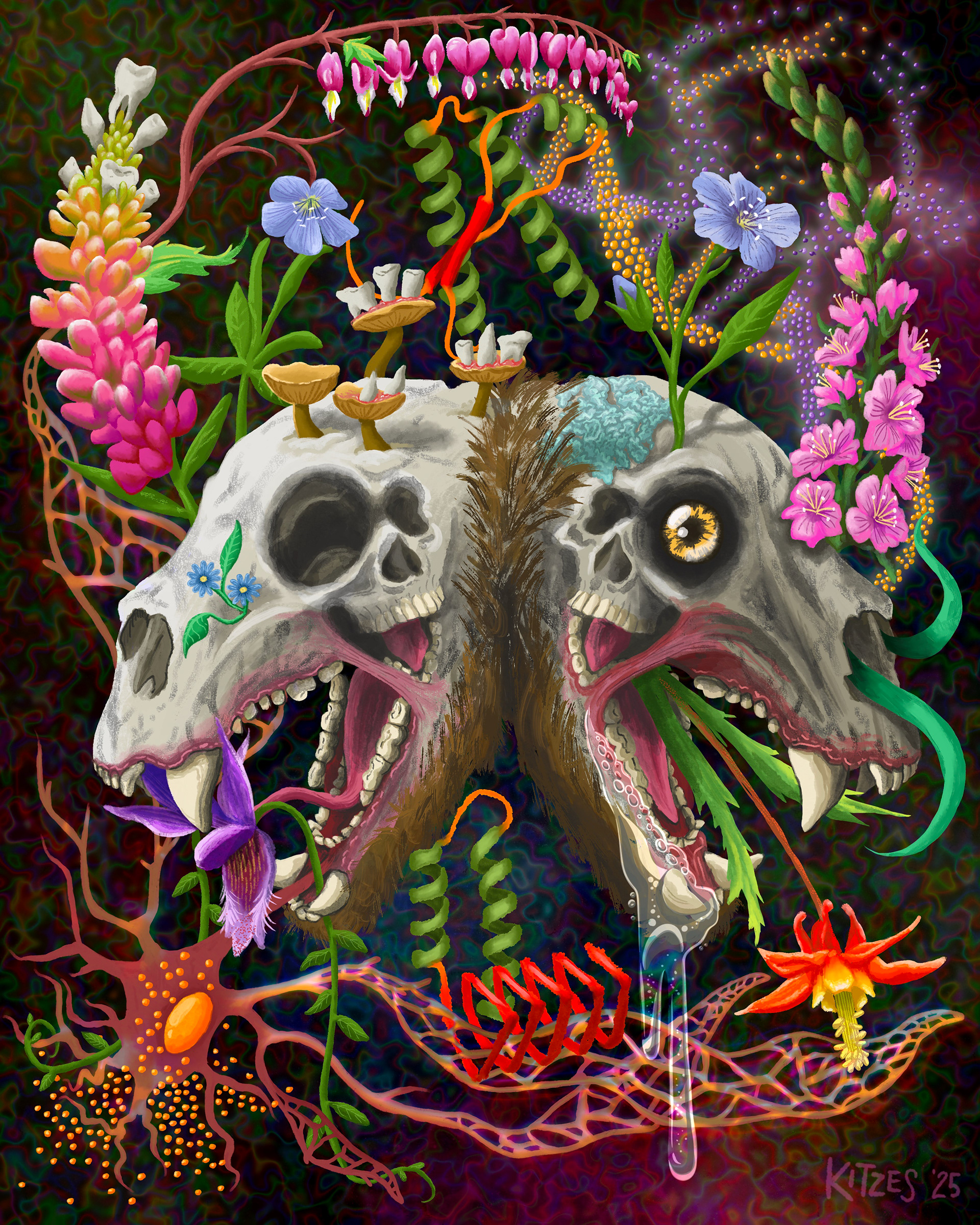 Decoherence, Julie Kitzes, 2025