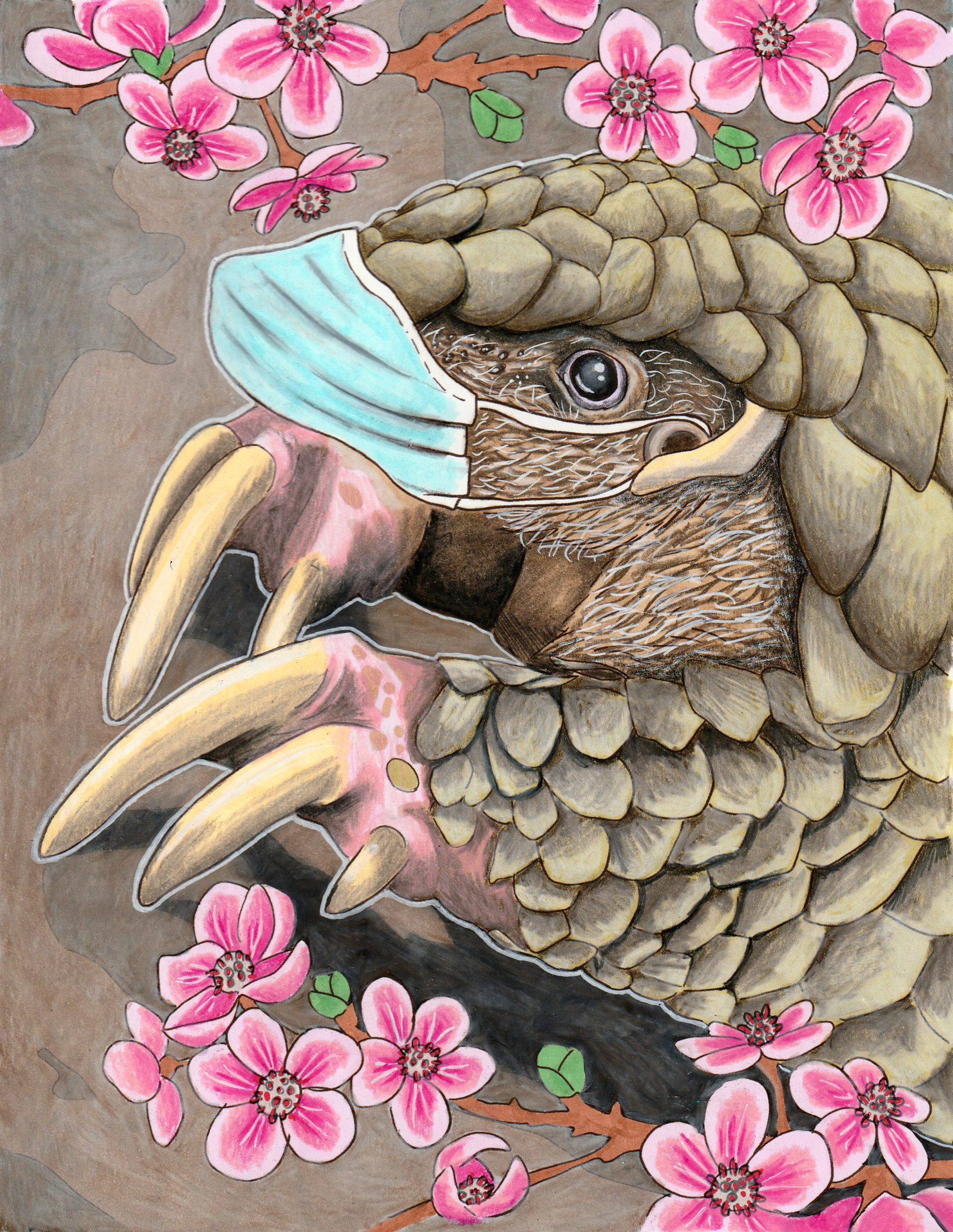 Pandemic Pangolin, Julie Kitzes, 2020