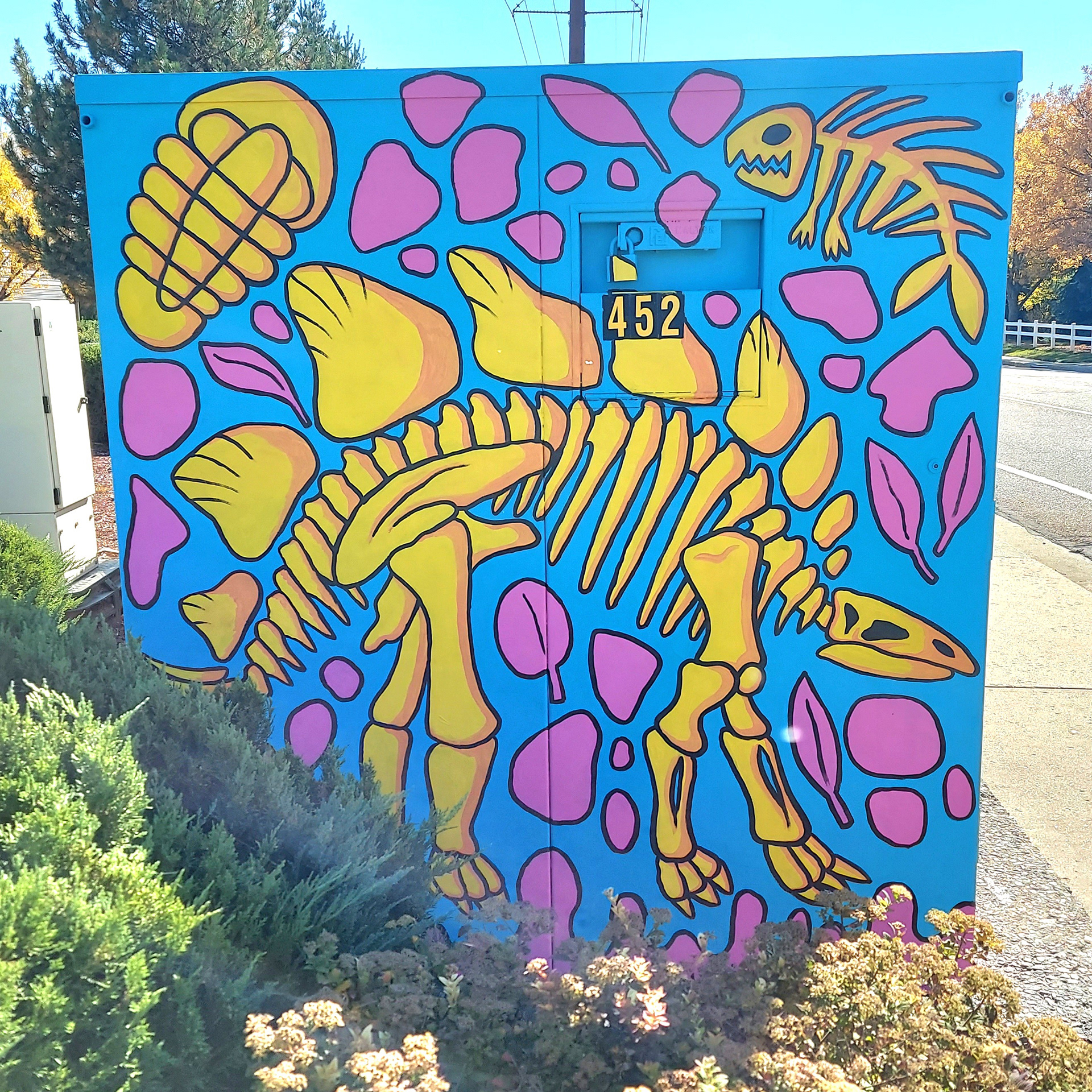 Colorado Fossils, Longmont, CO, 2023