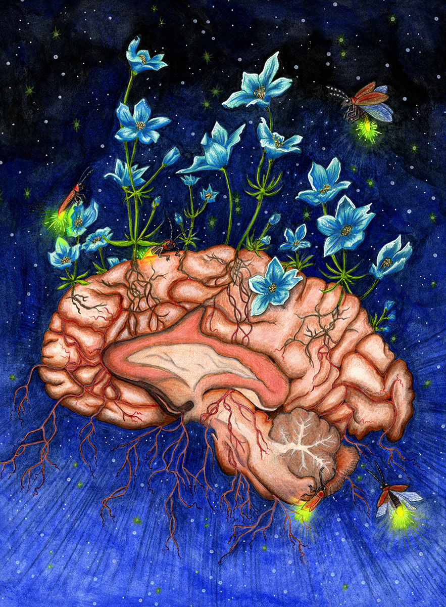 Fireflies on the Brain, Julie Kitzes, 2017