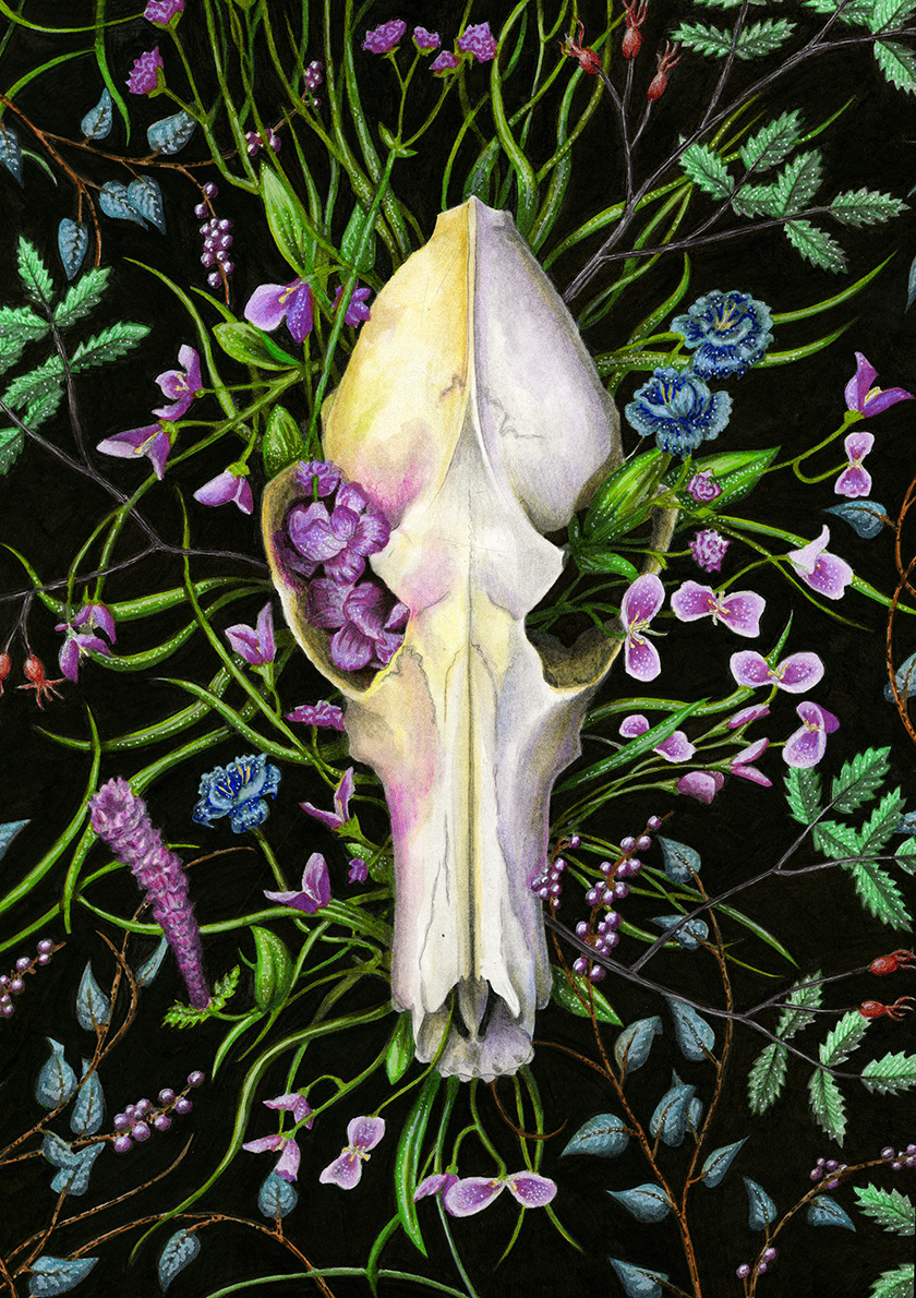 Coyote Blooms, Julie Kitzes, 2017