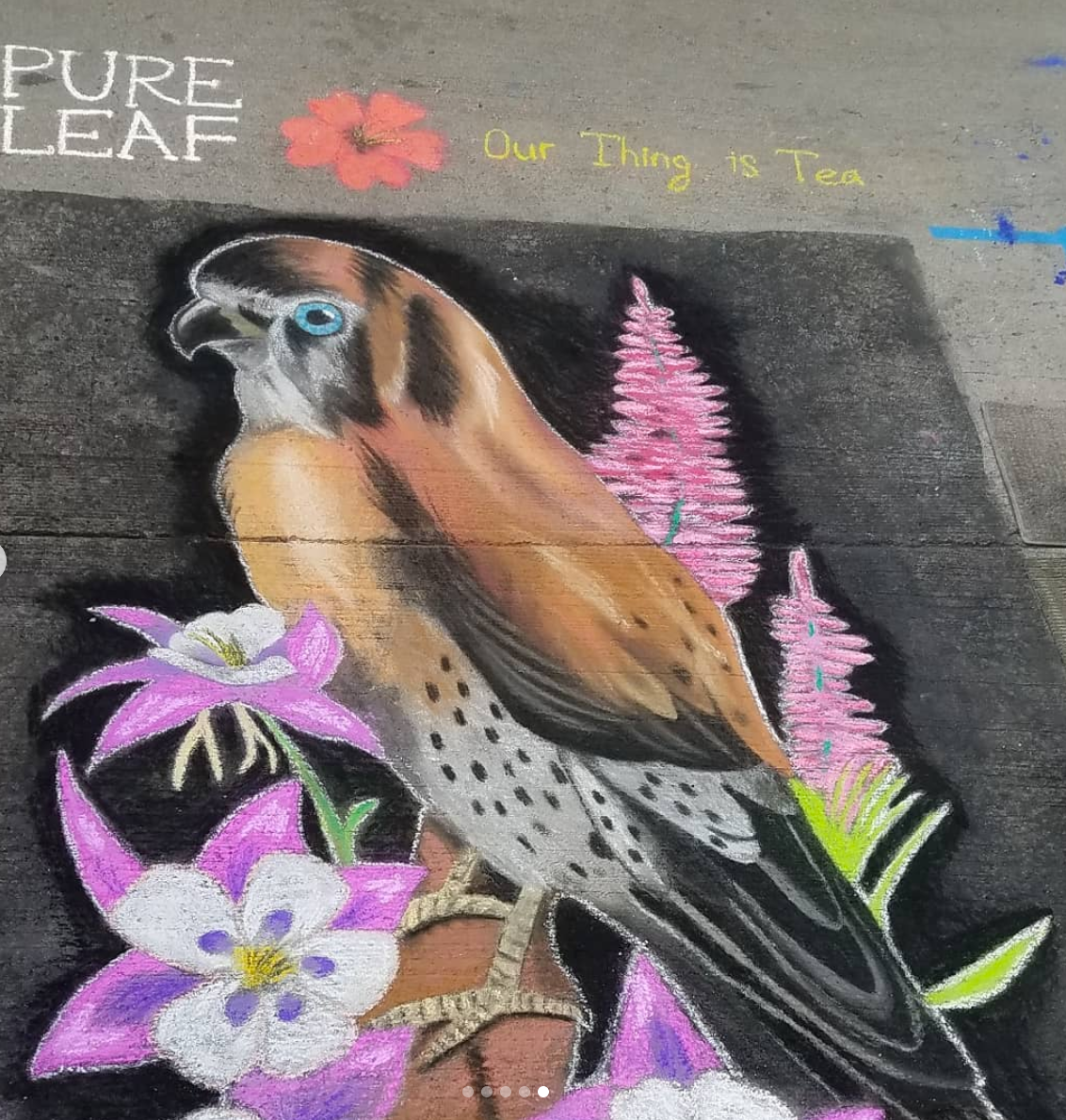 Kestrel, Denver Chalk Art Festival, Denver, CO, 2019
