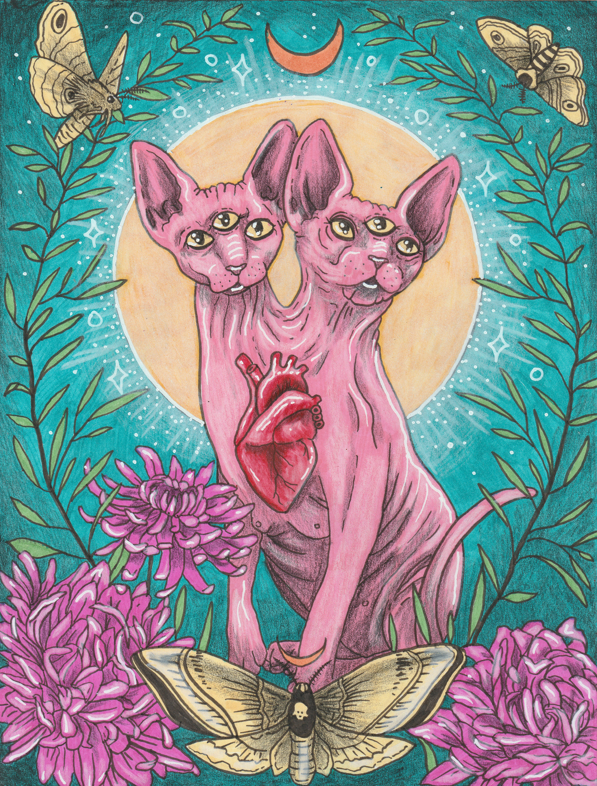 Oracle, Julie Kitzes, 2019
