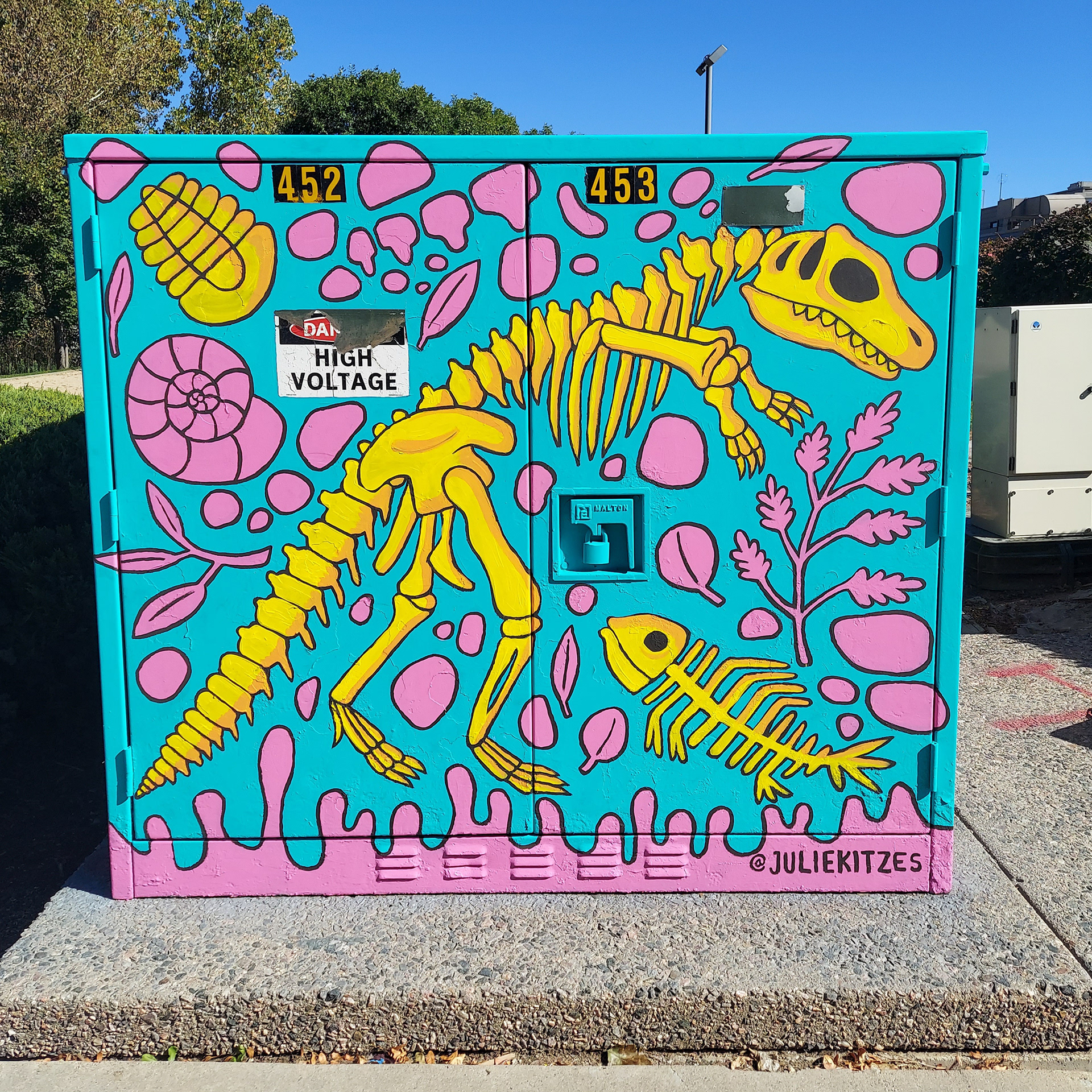 Colorado Fossils, Longmont, CO, 2023