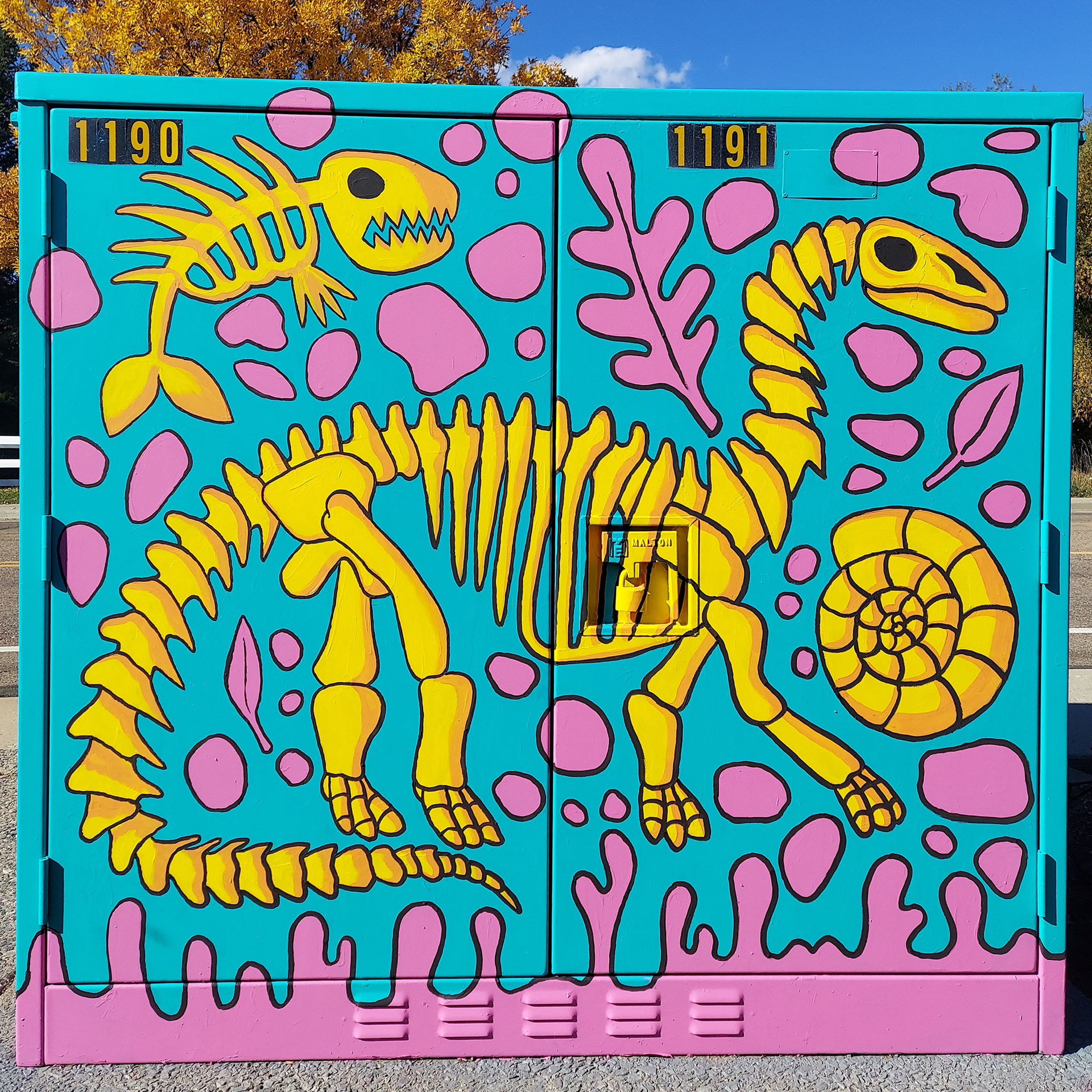 Colorado Fossils, Longmont, CO, 2023
