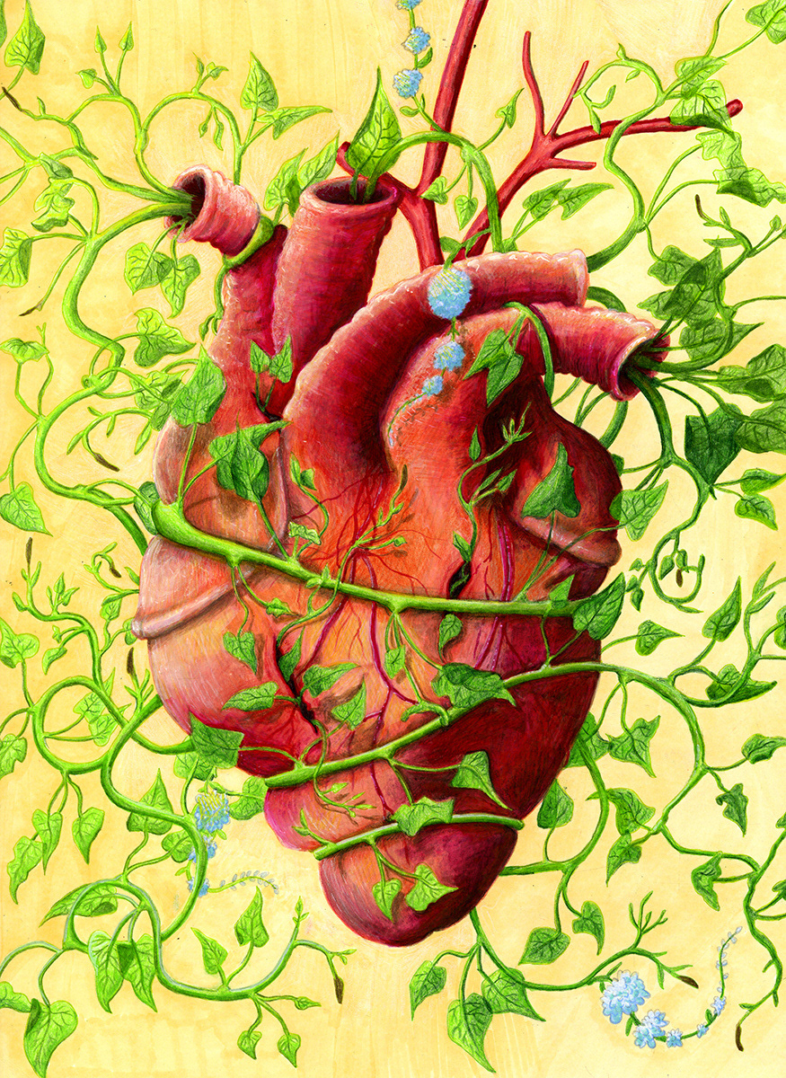 Congestive Heart Failure, Julie Kitzes, 2017