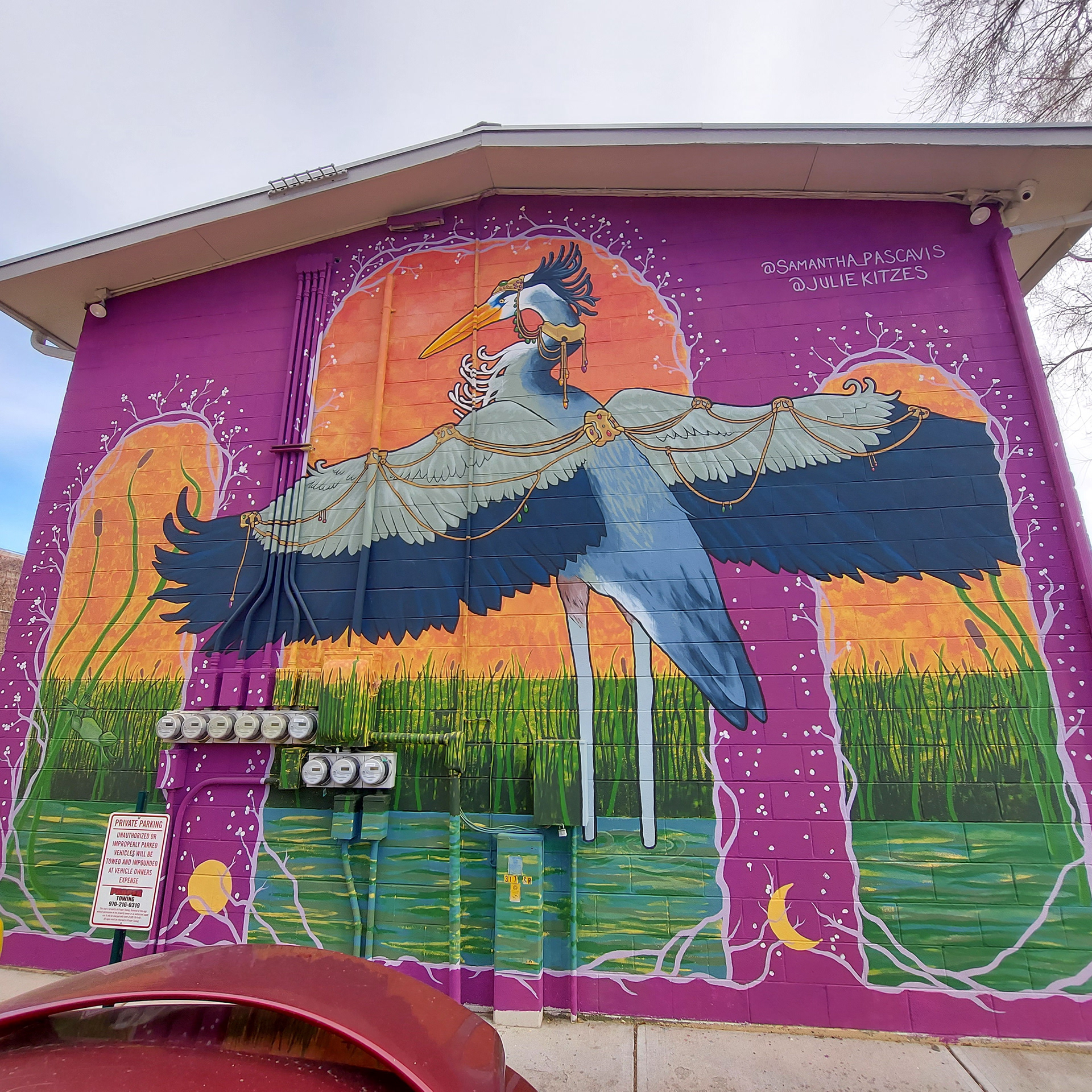 Erin the Heron, Fort Collins CO, For Fort Collins Mural Project, Collab with Samantha Pascavis, 2021