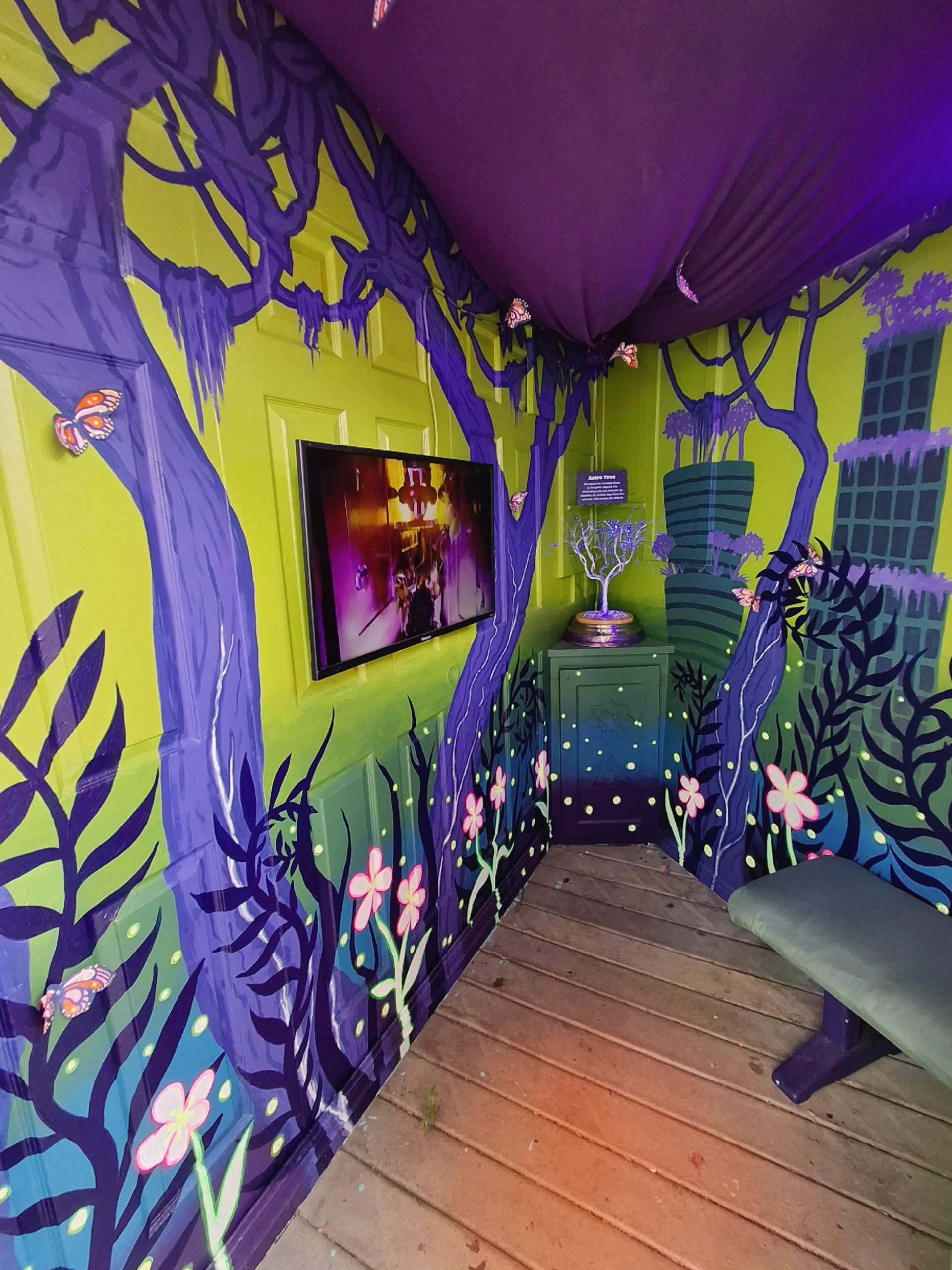 Novo Ita: Emergence, immersive art experience, Spectra Art Space, Denver, CO, 2026