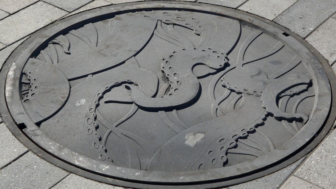 Tentacles, Manhole Cover, Santa Clarita, CA, 2022