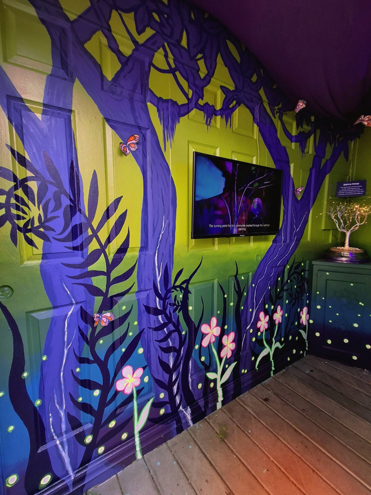 Novo Ita: Emergence, immersive art experience, Spectra Art Space, Denver, CO, 2026