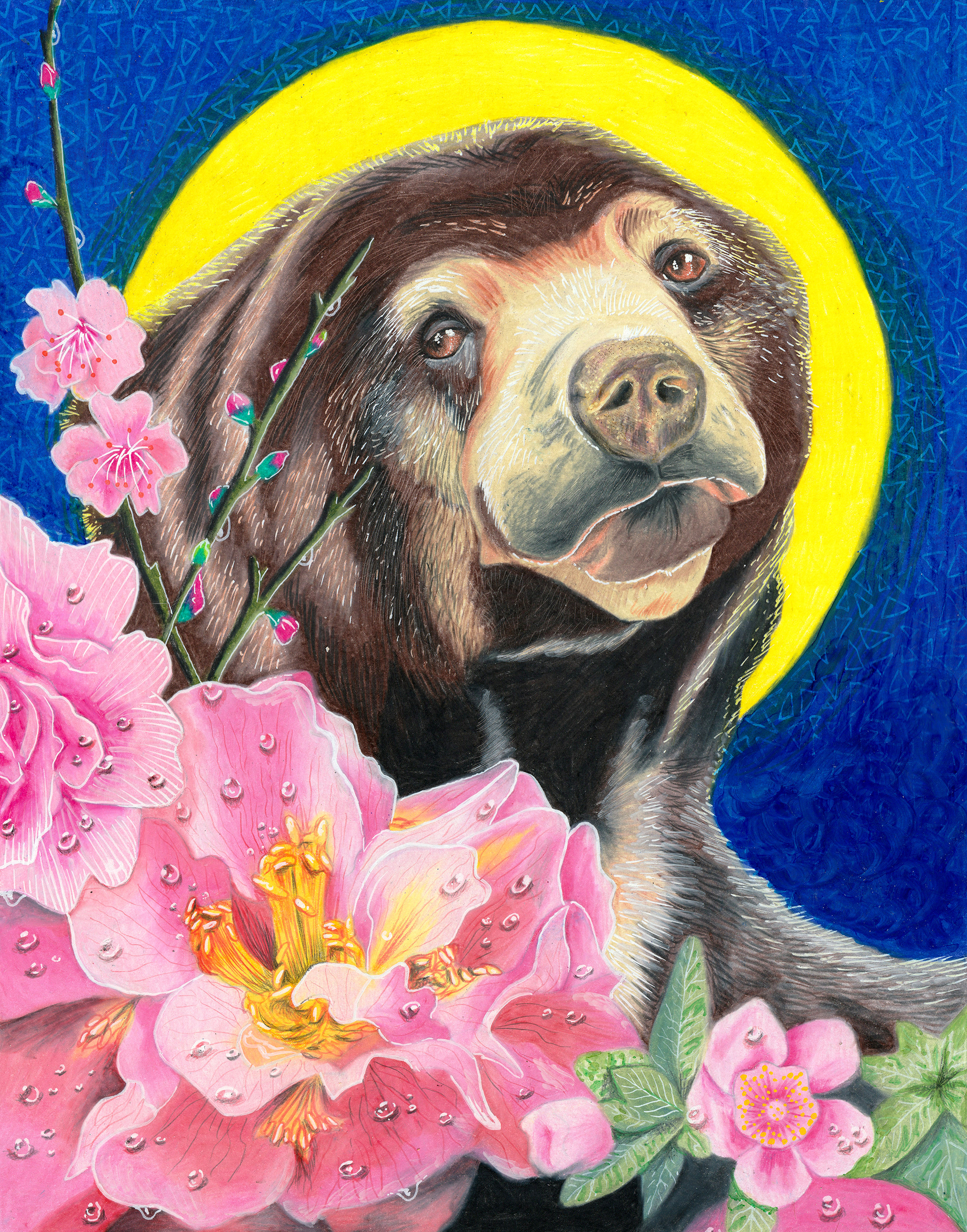 Sunbear, Julie Kitzes, 2021