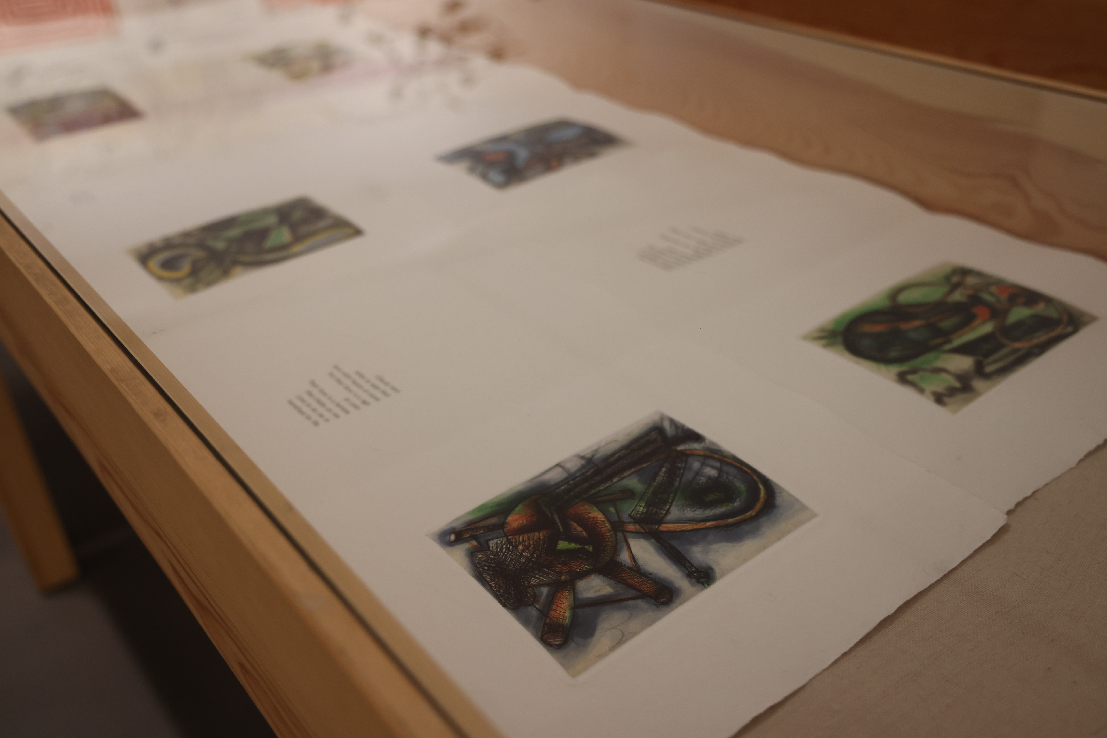 伊丽莎白·默里｜Elizabeth Murray