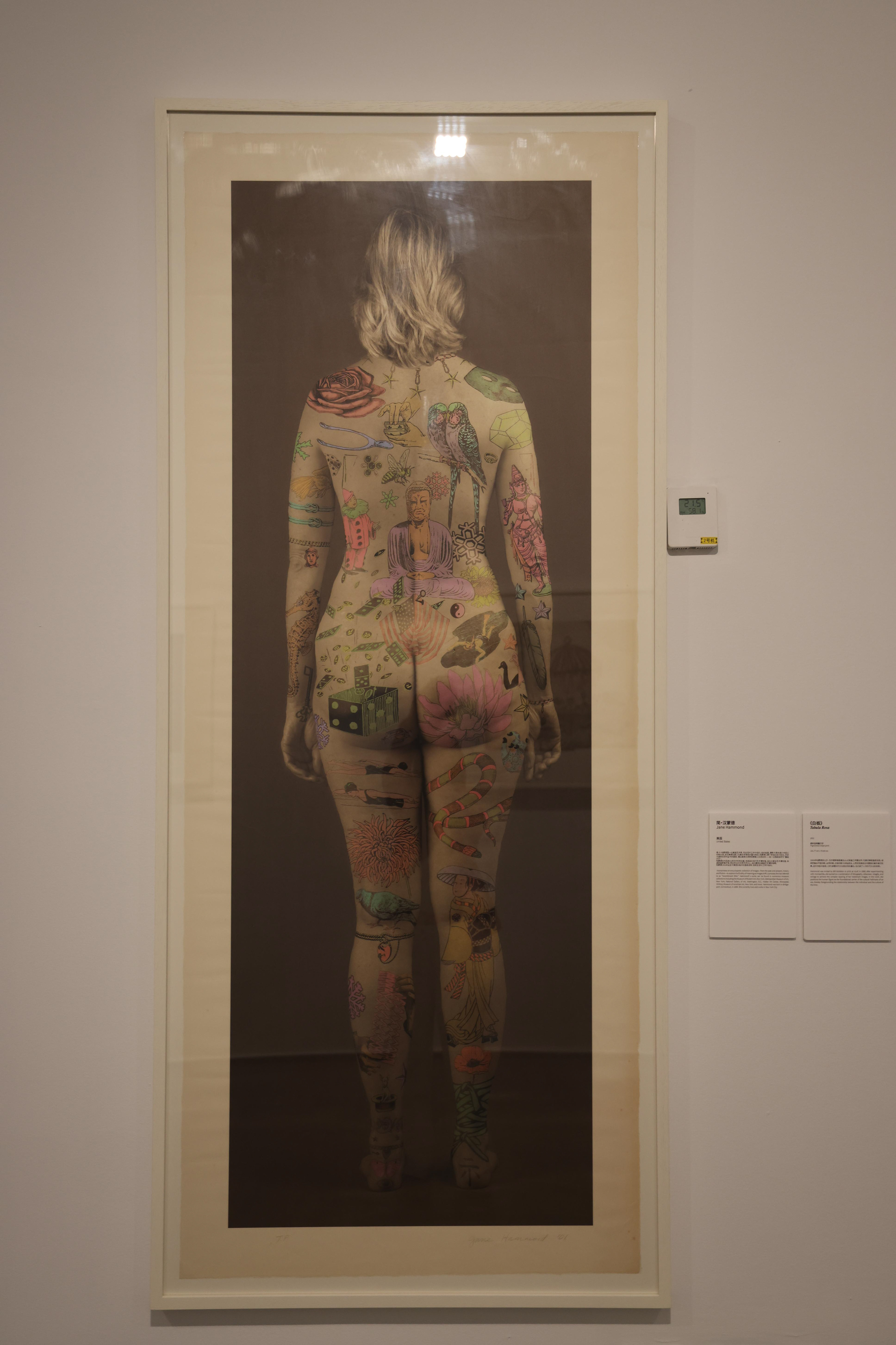 简·汉蒙德｜Jane Hammond