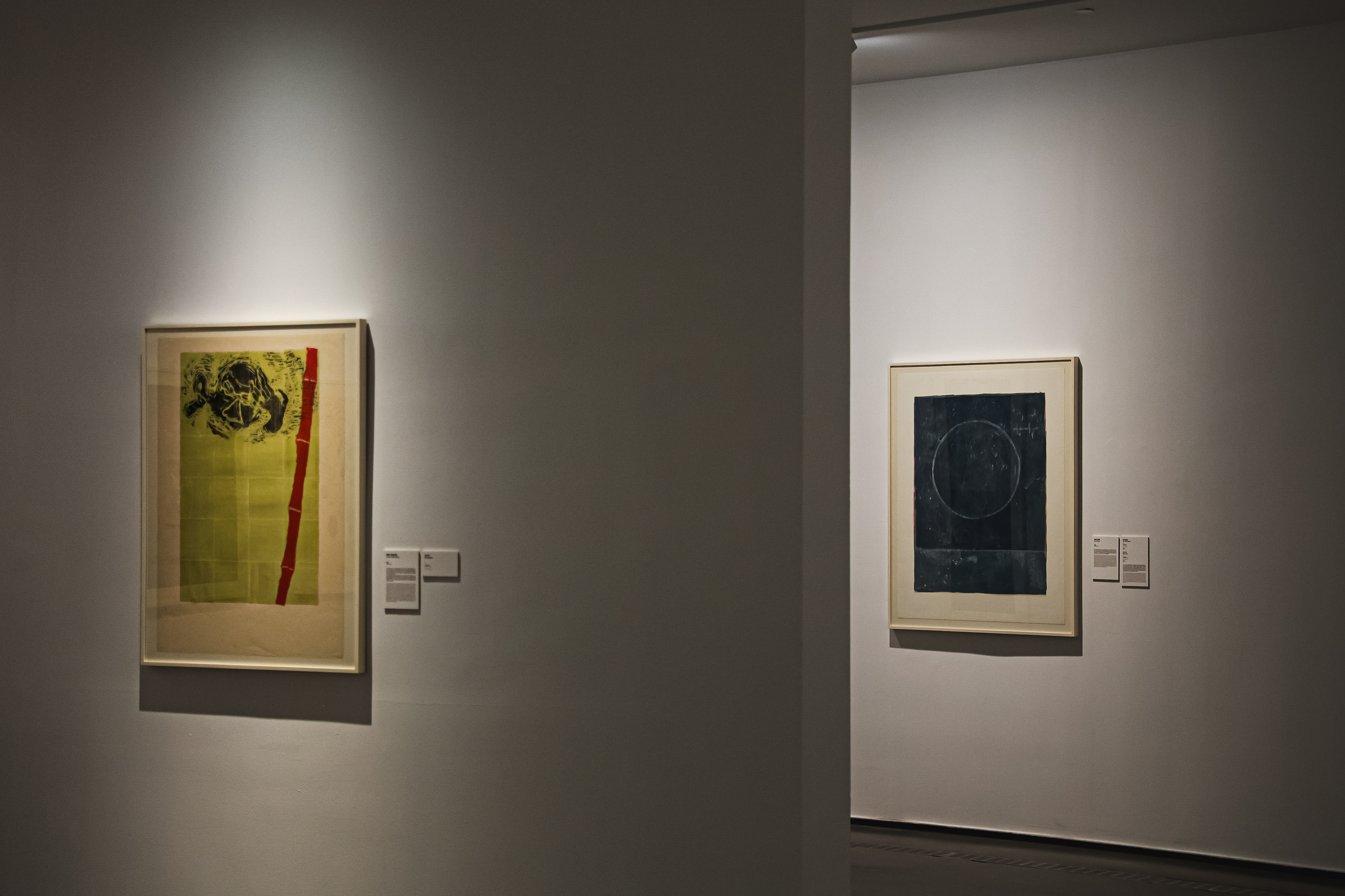 苏珊·劳森伯格｜Susan Rothenberg