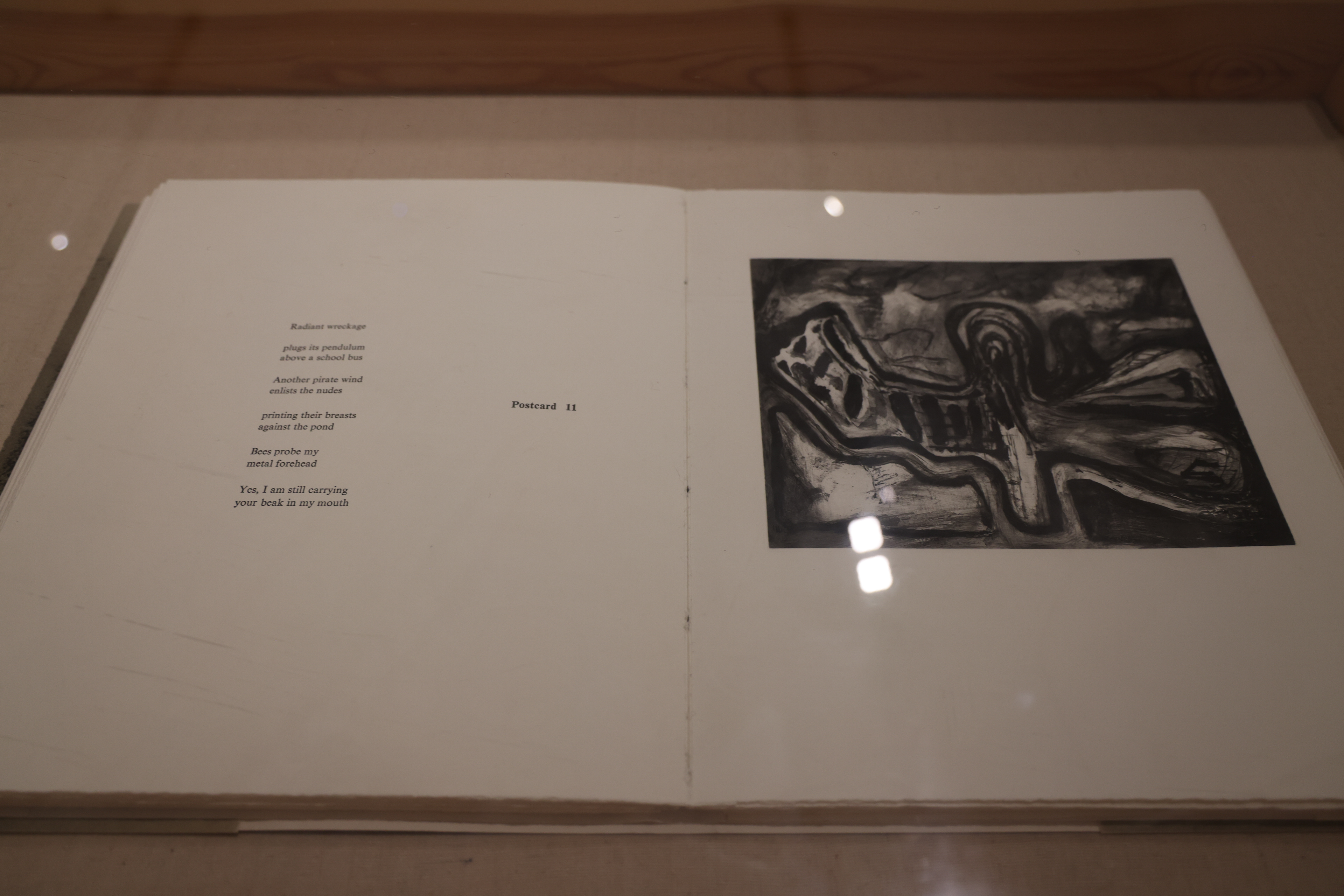 比尔·詹森｜Bill Jensen