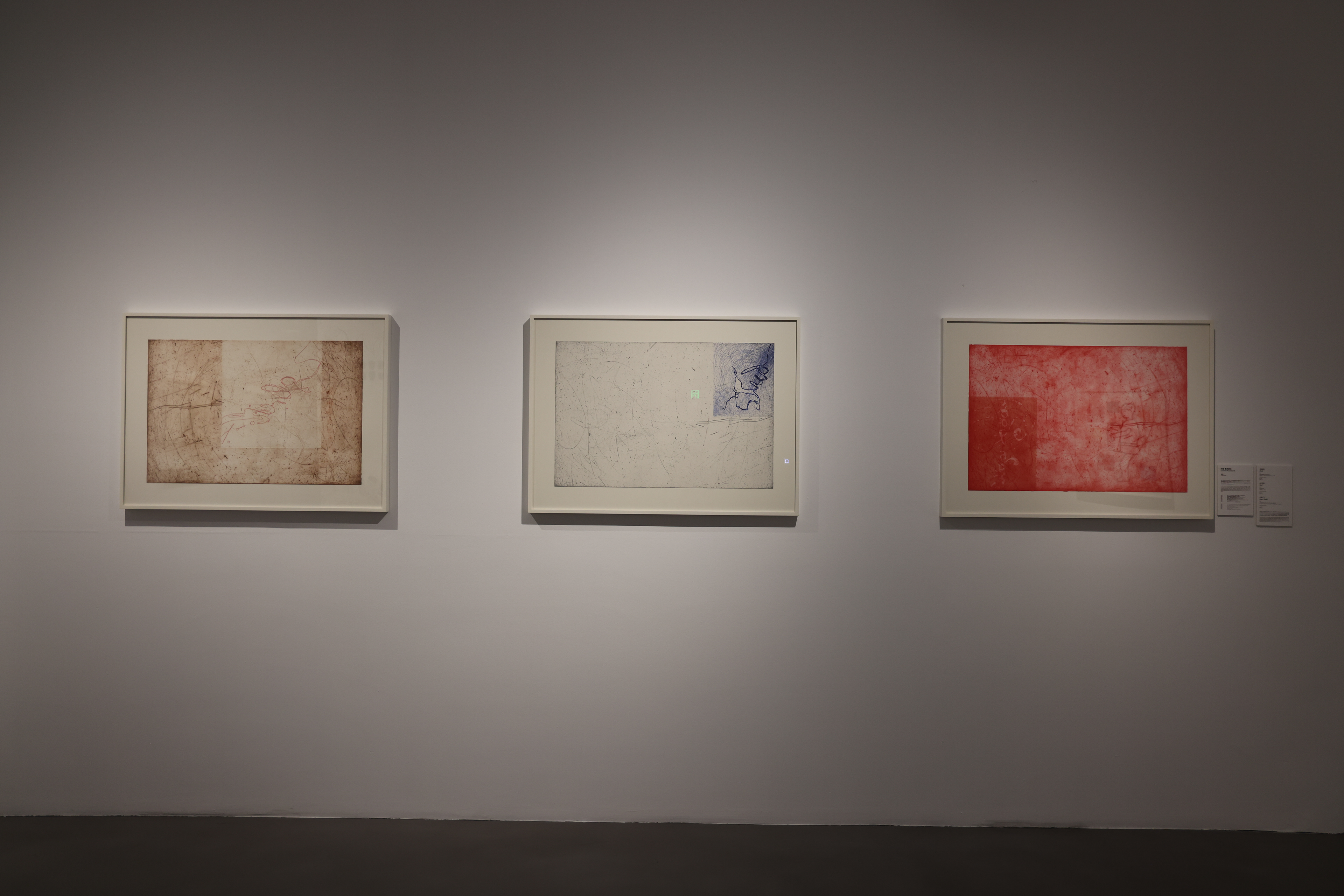 苏珊娜·麦克莱兰｜Suzanne McClelland