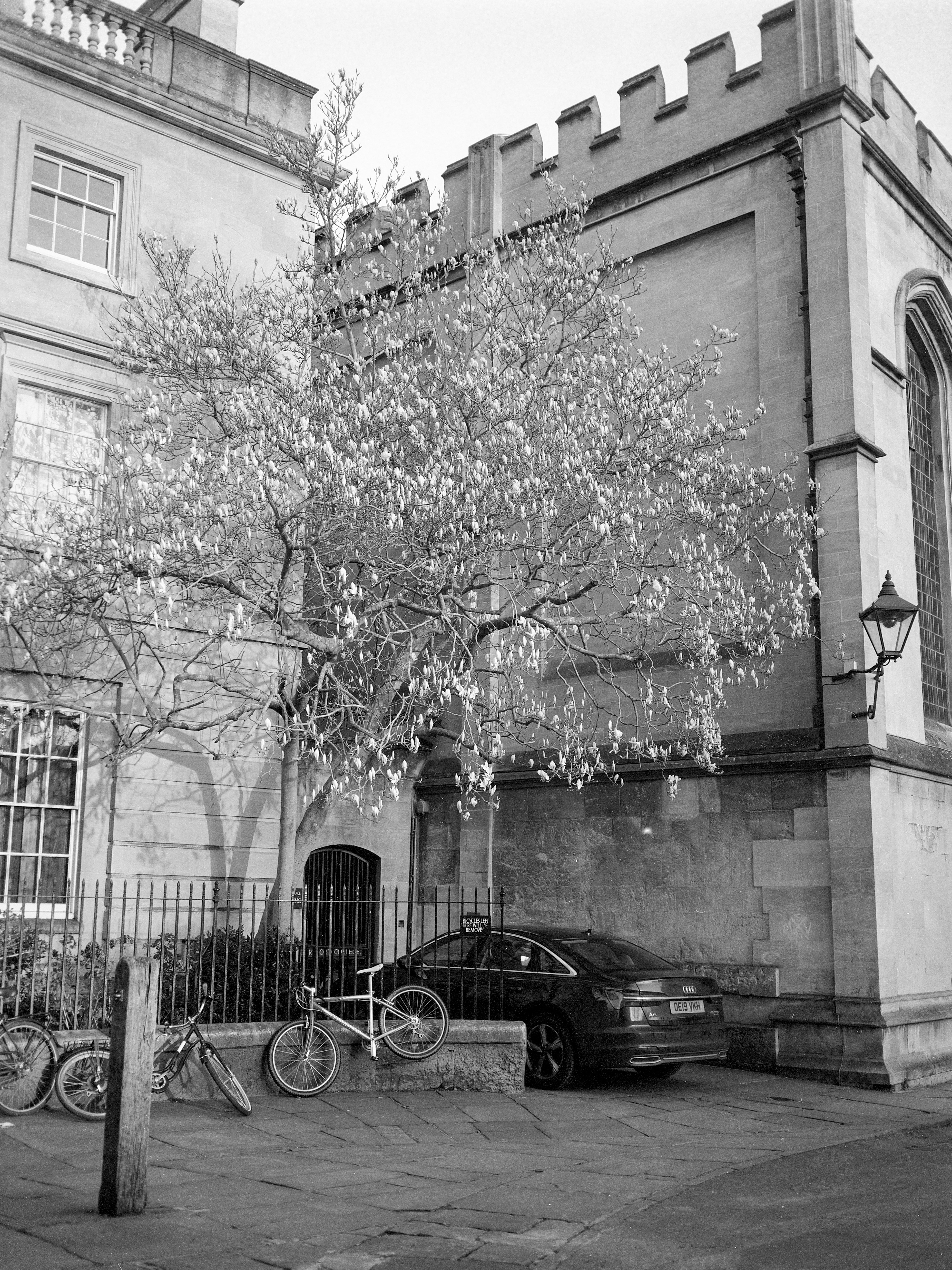 Cattle St, Oxford, Mar 2020 (Ilford FP4)