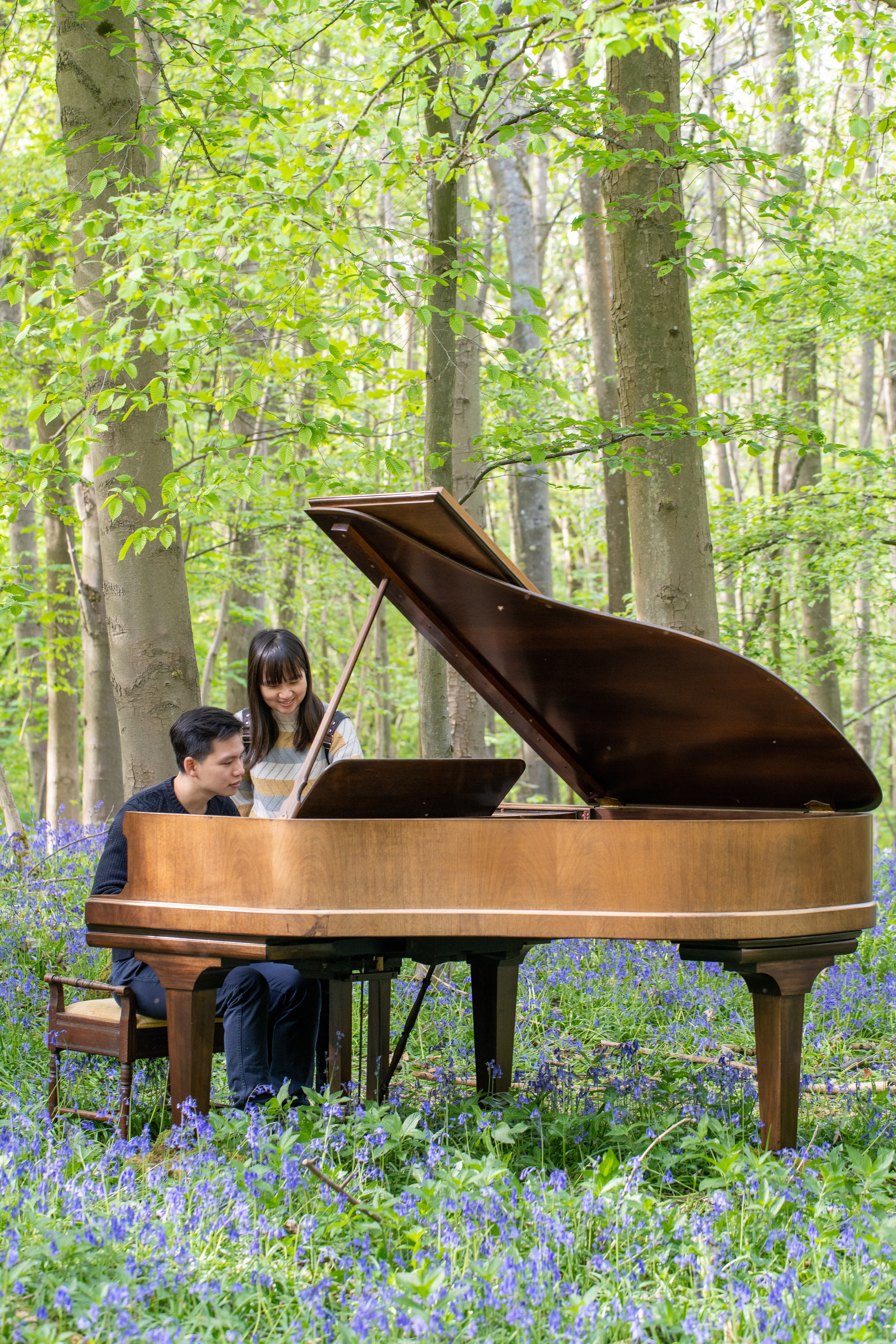 Wytham woods, Apr 2022