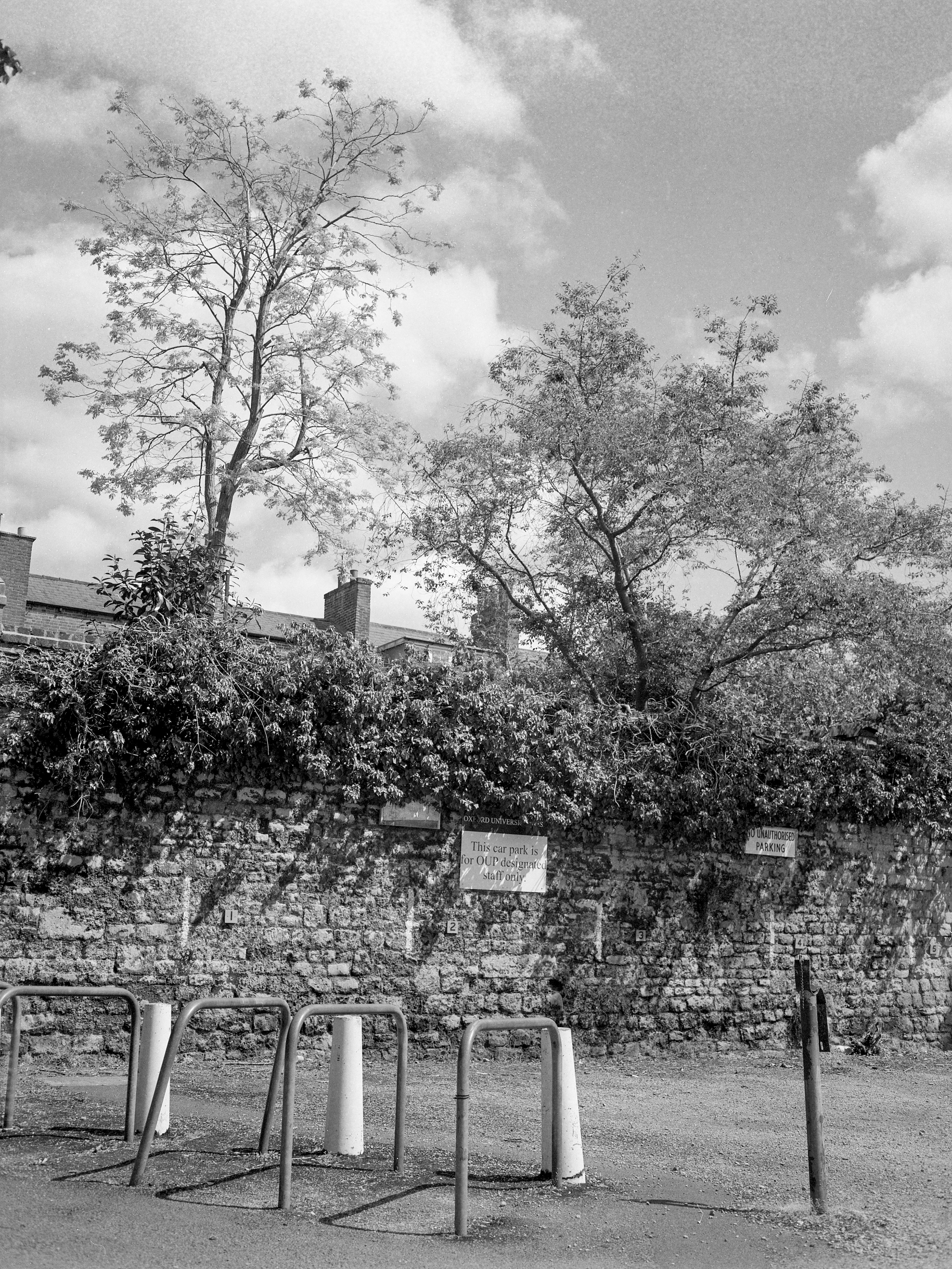 Jericho, Oxford, Mar 2020 (Ilford FP4)