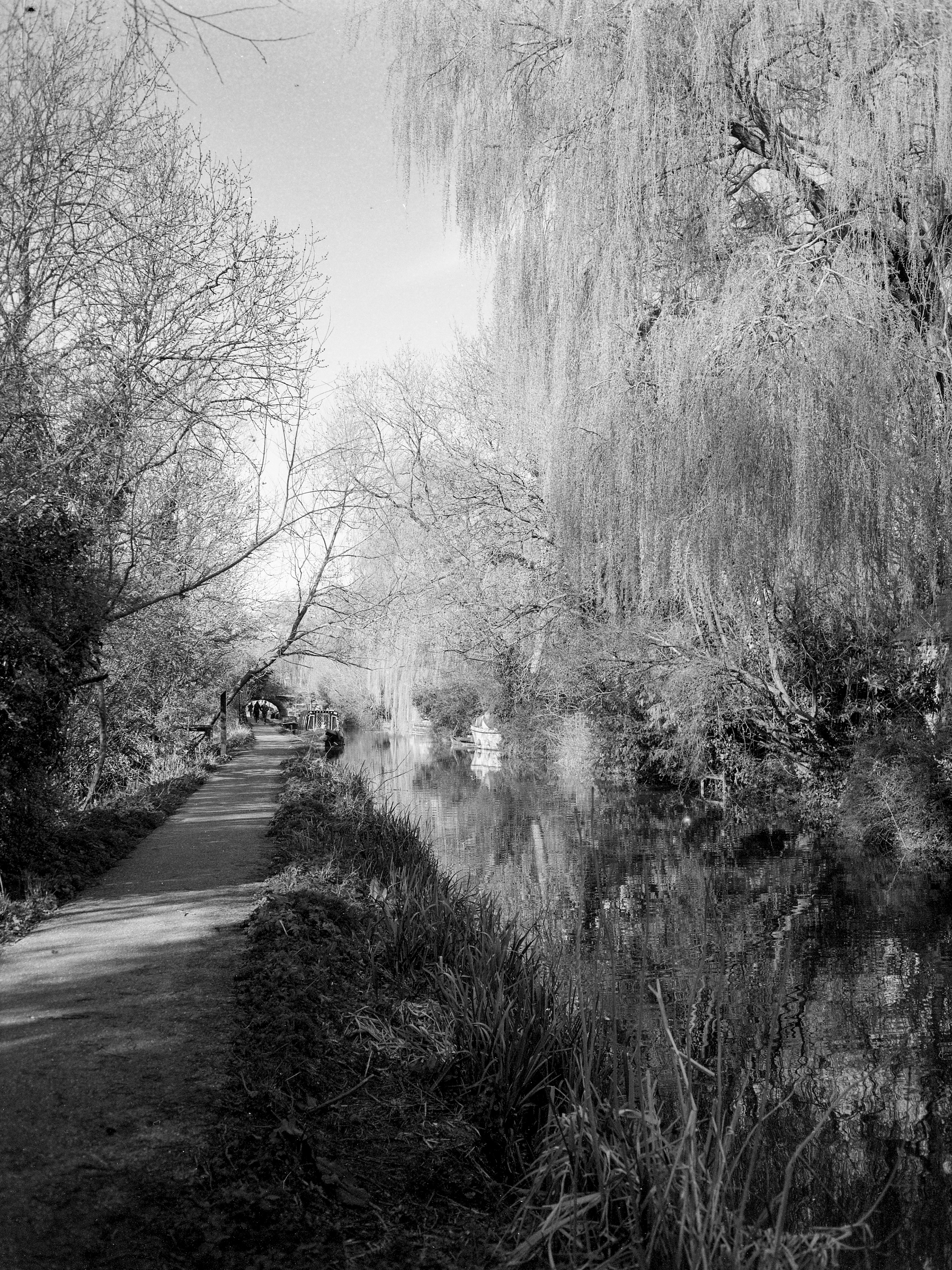 Oxford Canal, Oxford, Mar 2020 (Ilford FP4)