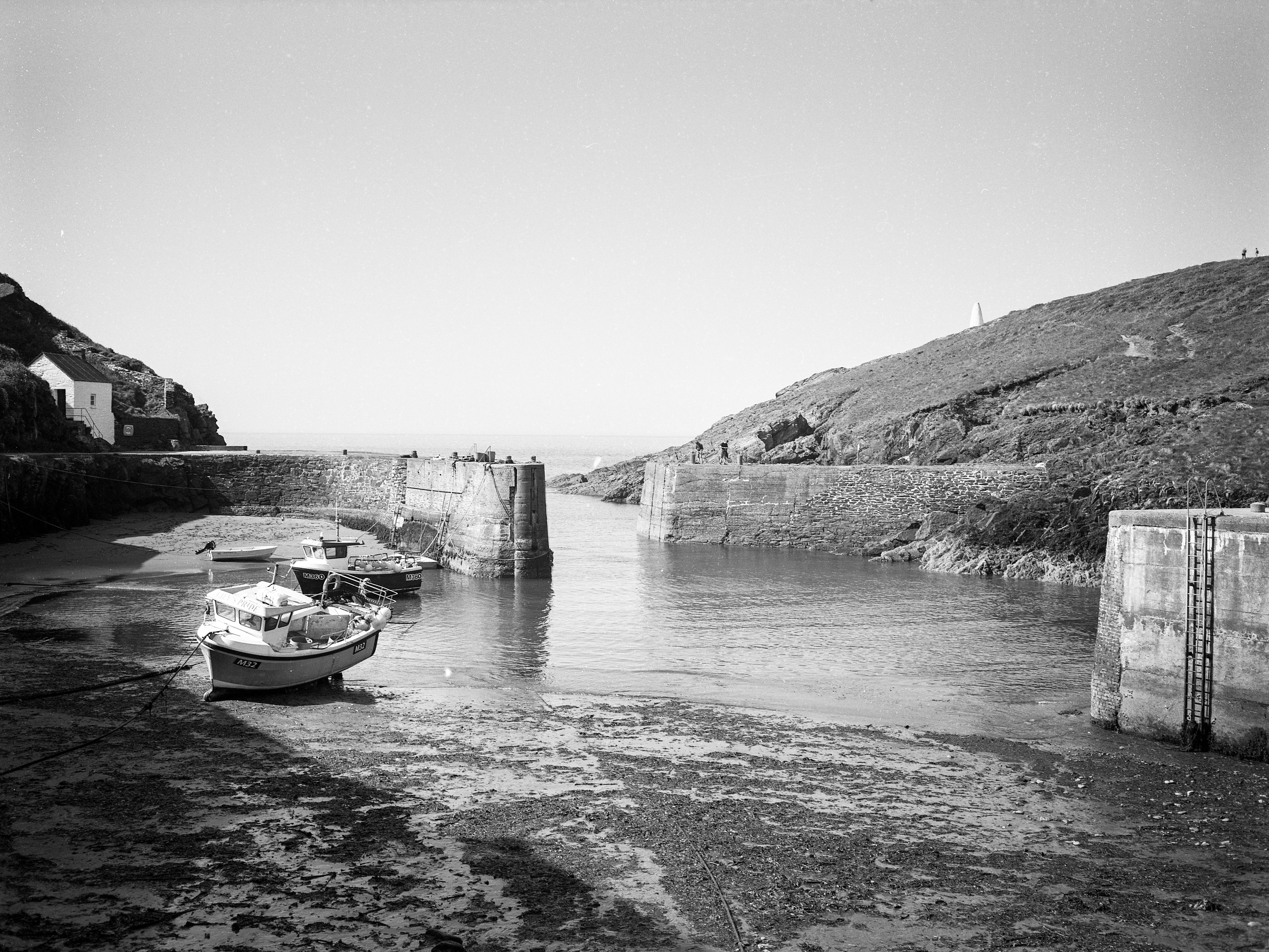 Pembrokeshire, May2021 (Ilford FP4)