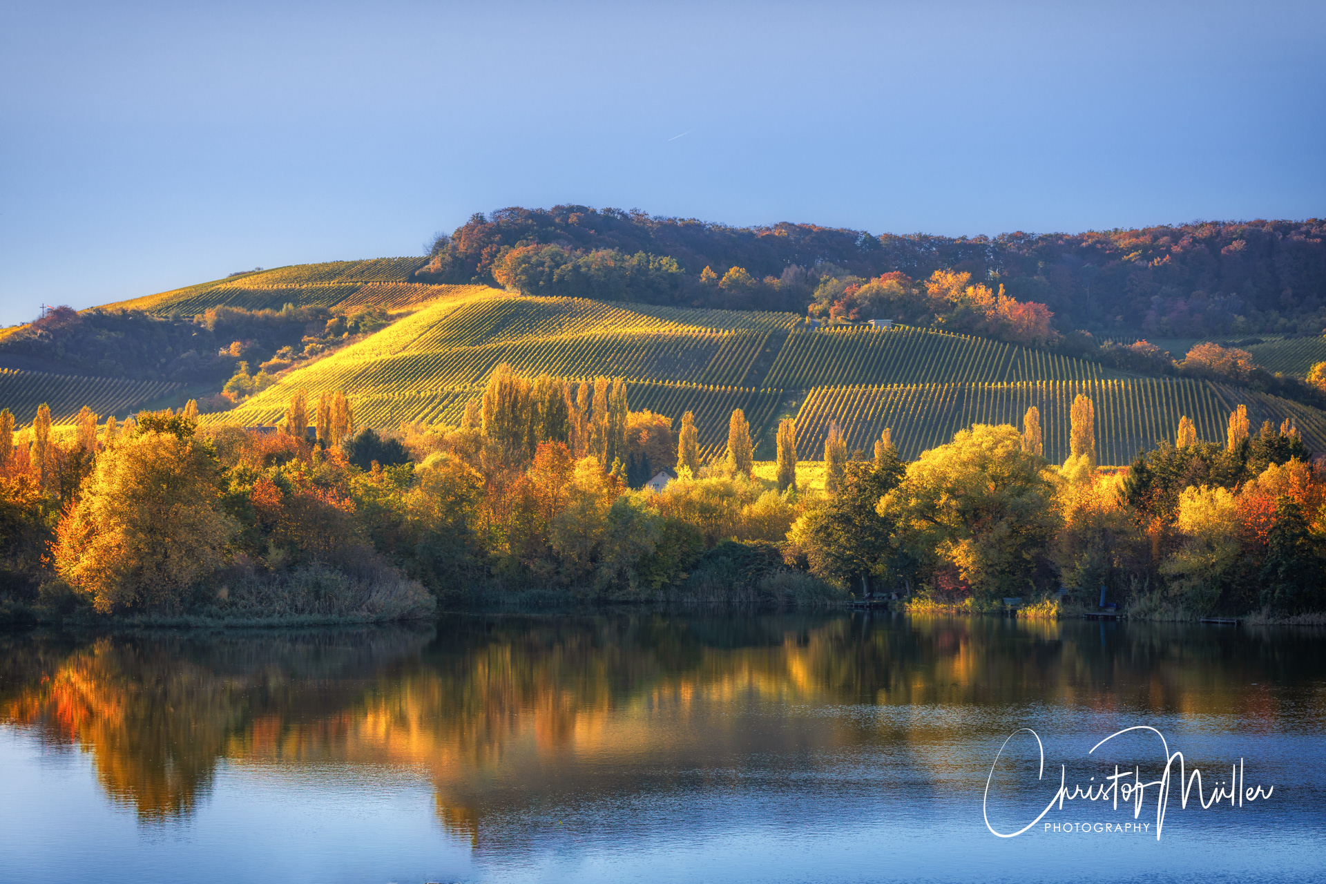 Golden October Scenery in Remerschen in Luxembourg with vineyards in golden light and reflections in a nearby lake.