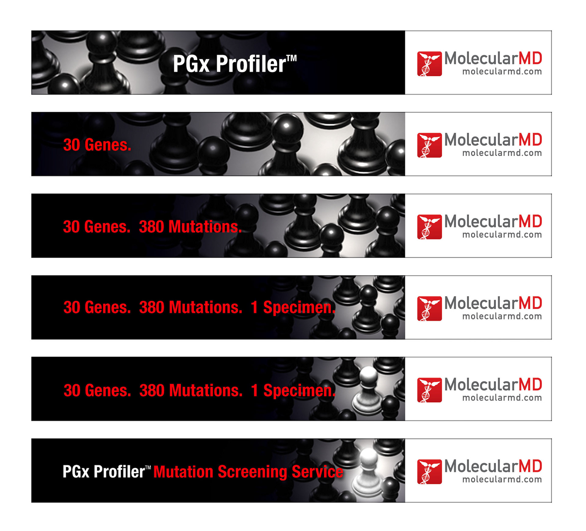 MolecularMD Animated Banner - Gold Medal ADCNJ Awards 