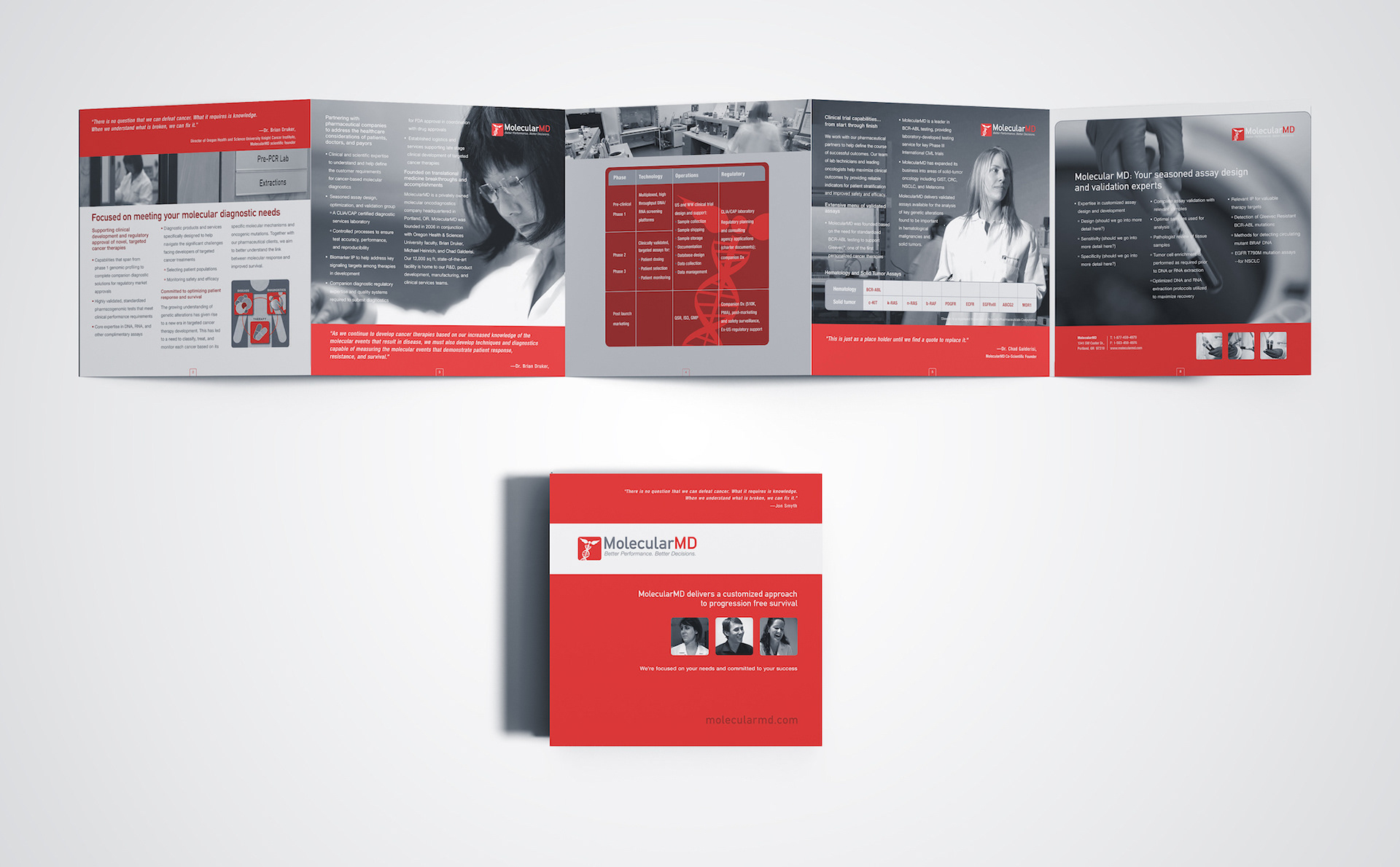 MolecularMD Capabilities Brochure 