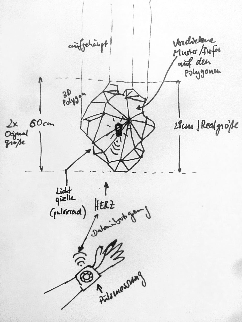 Size and Details