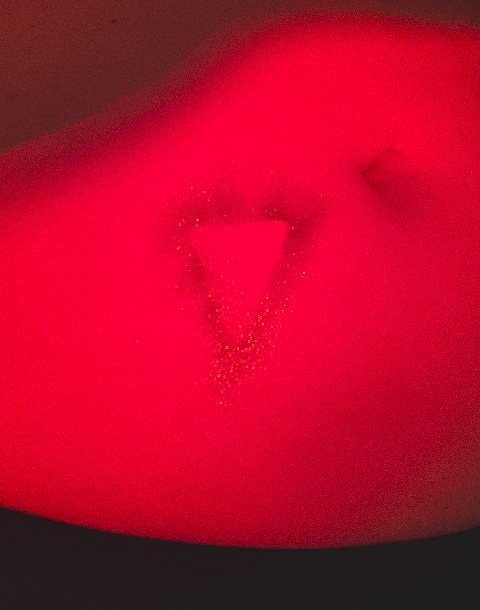 Day 4