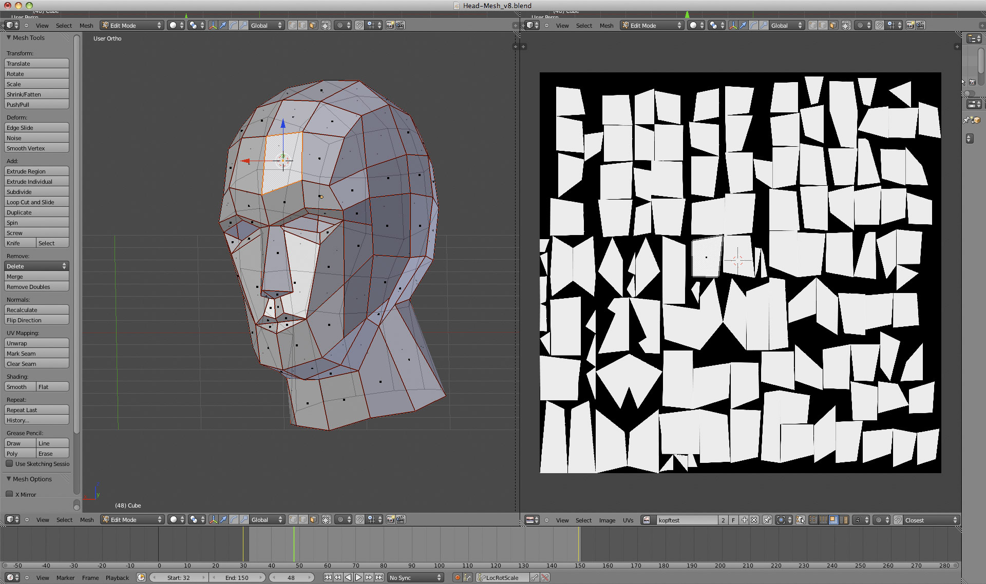 3D Mesh of the head