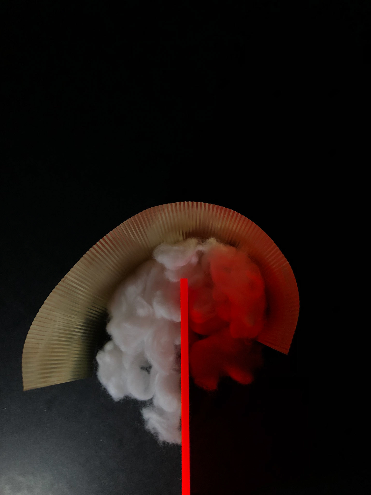 Day 74