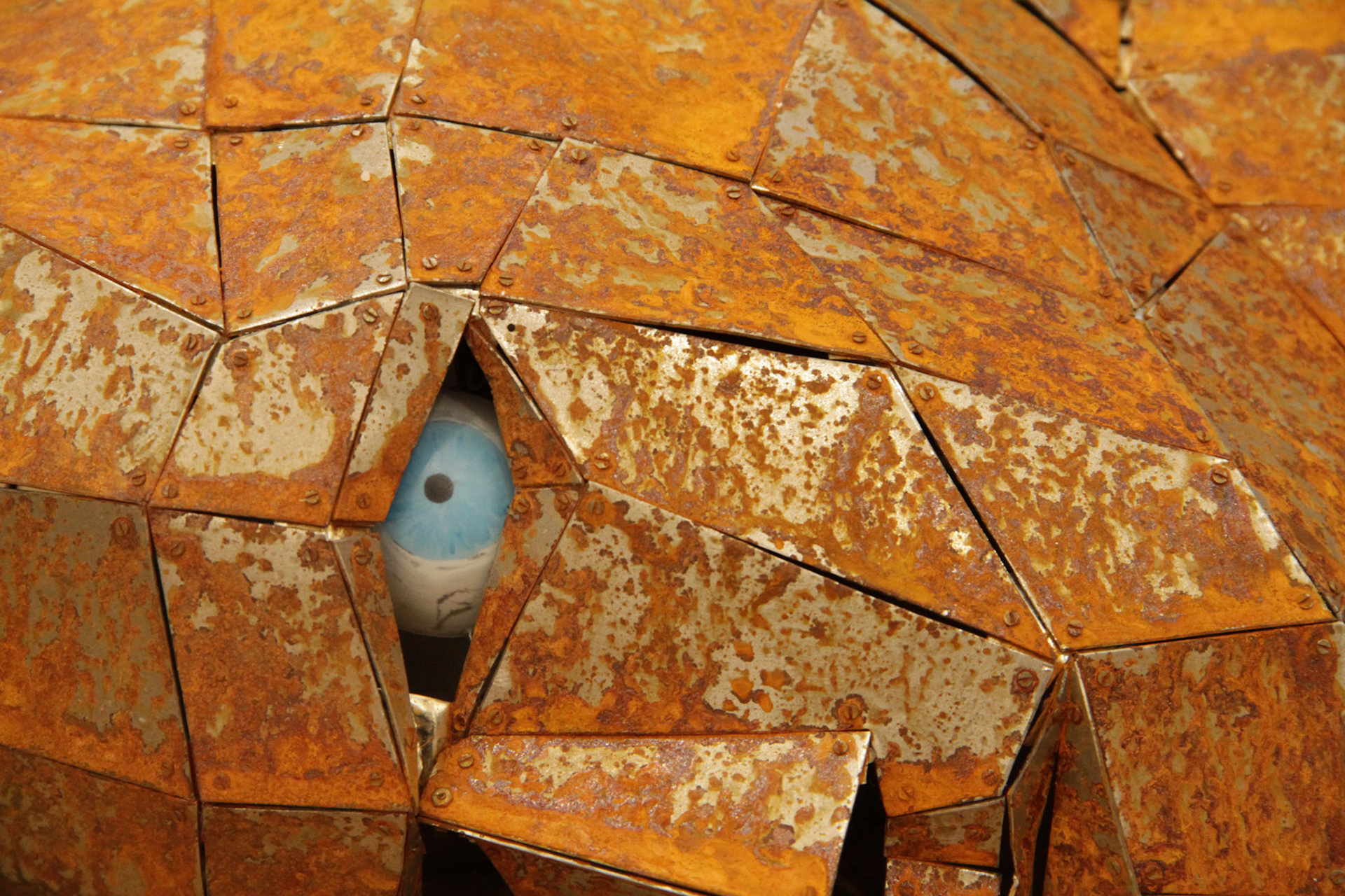 Rust ist building on the head