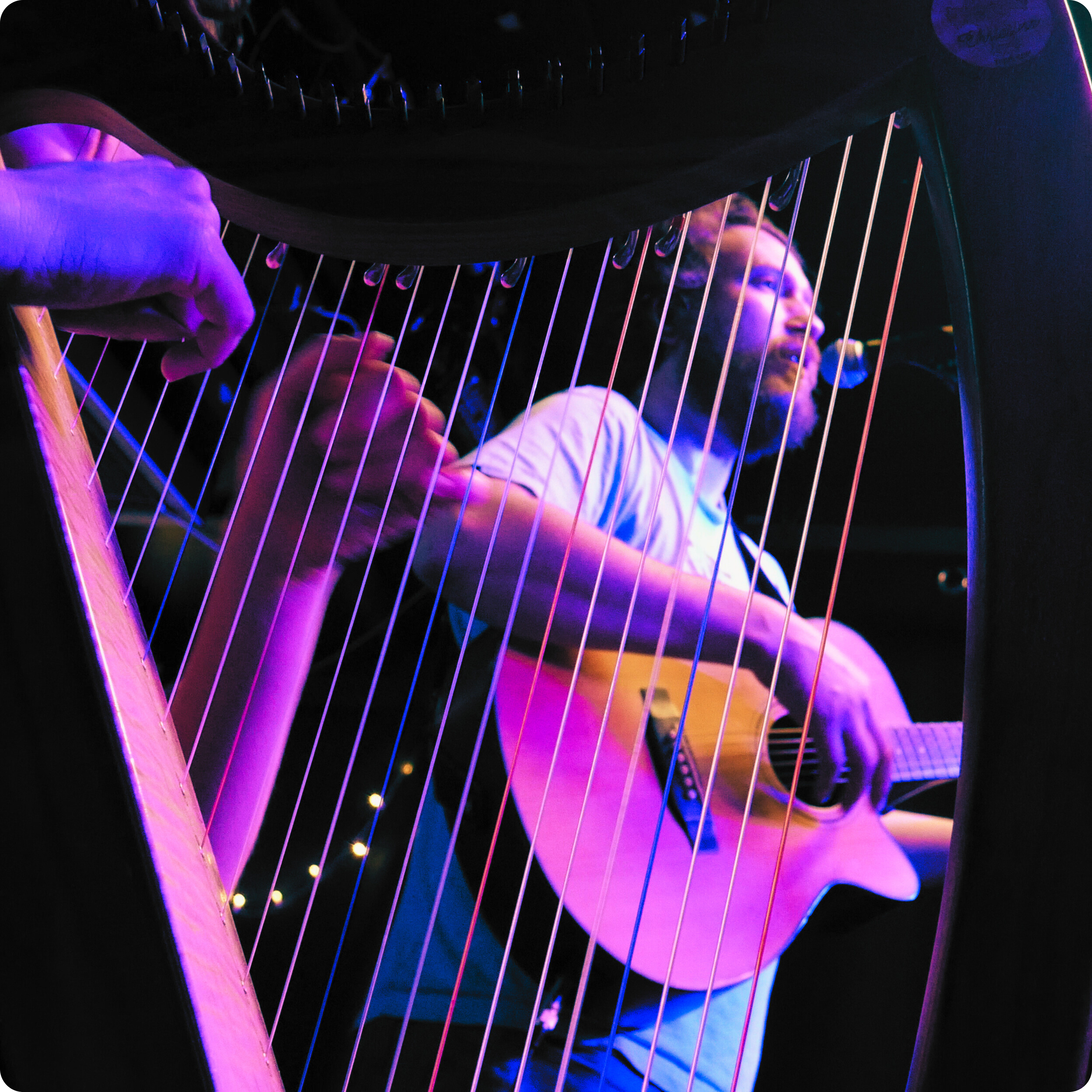 Will the Guitar as seen through Emmy's intricate harp plucks
